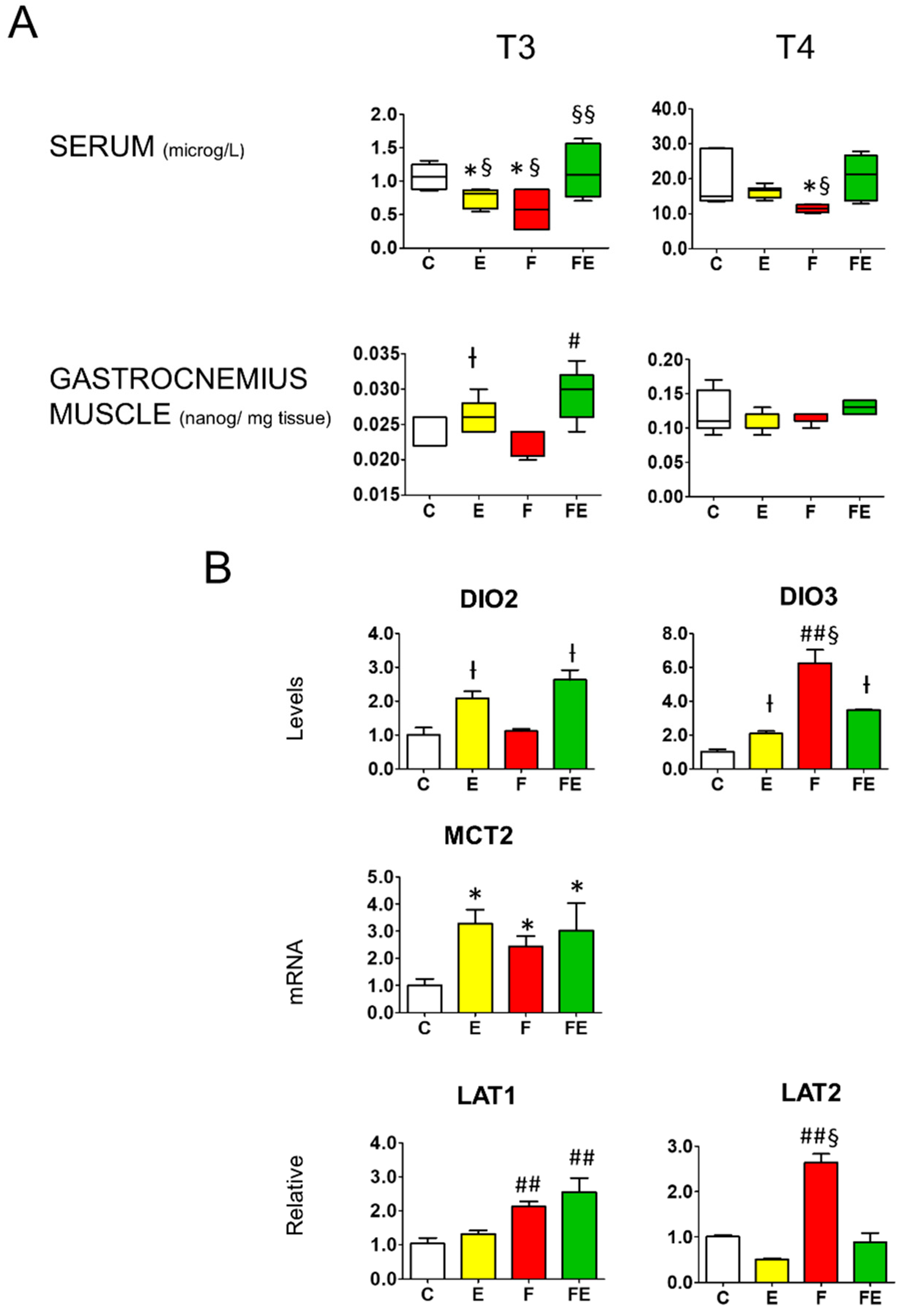 Nutrients 14 01166 g002 Nutrients 14 01166 g002
