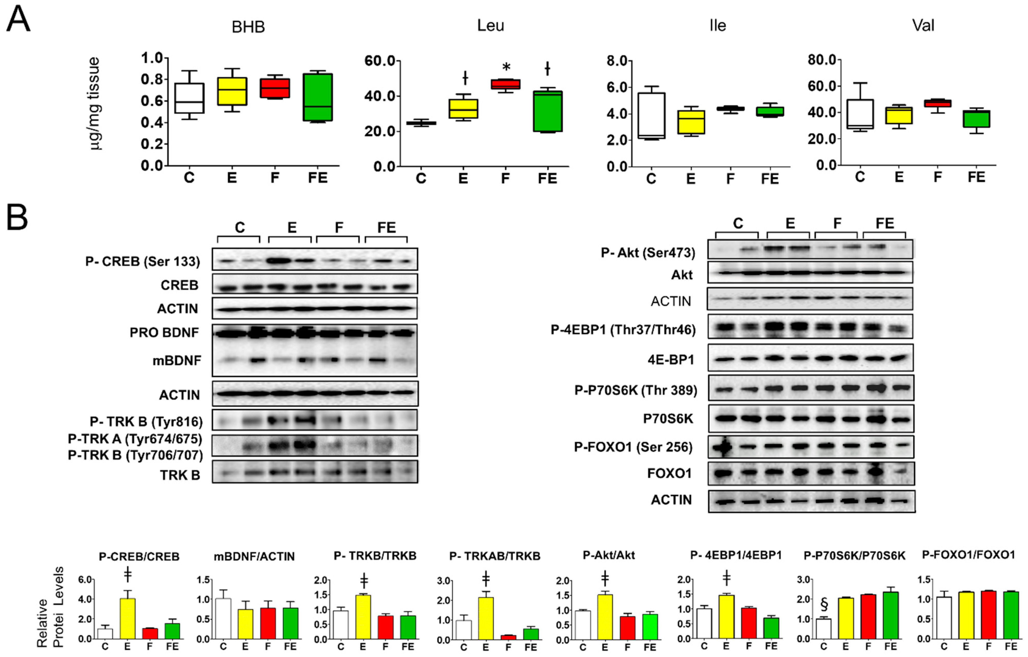 Nutrients 14 01166 g004 Nutrients 14 01166 g004