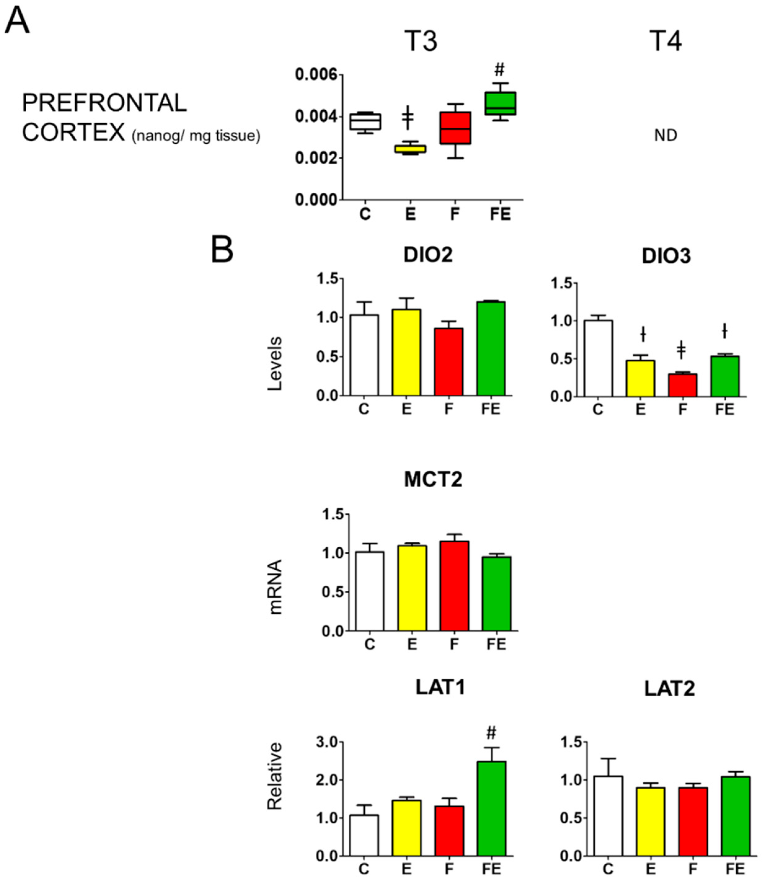Nutrients 14 01166 g005 Nutrients 14 01166 g005
