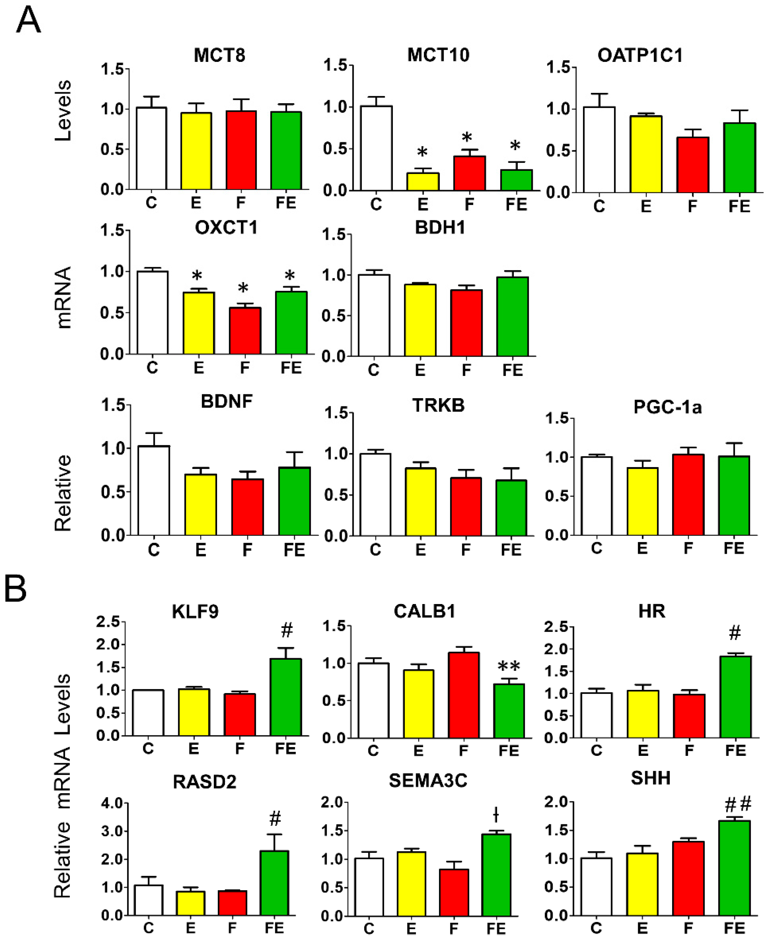 Nutrients 14 01166 g006 Nutrients 14 01166 g006