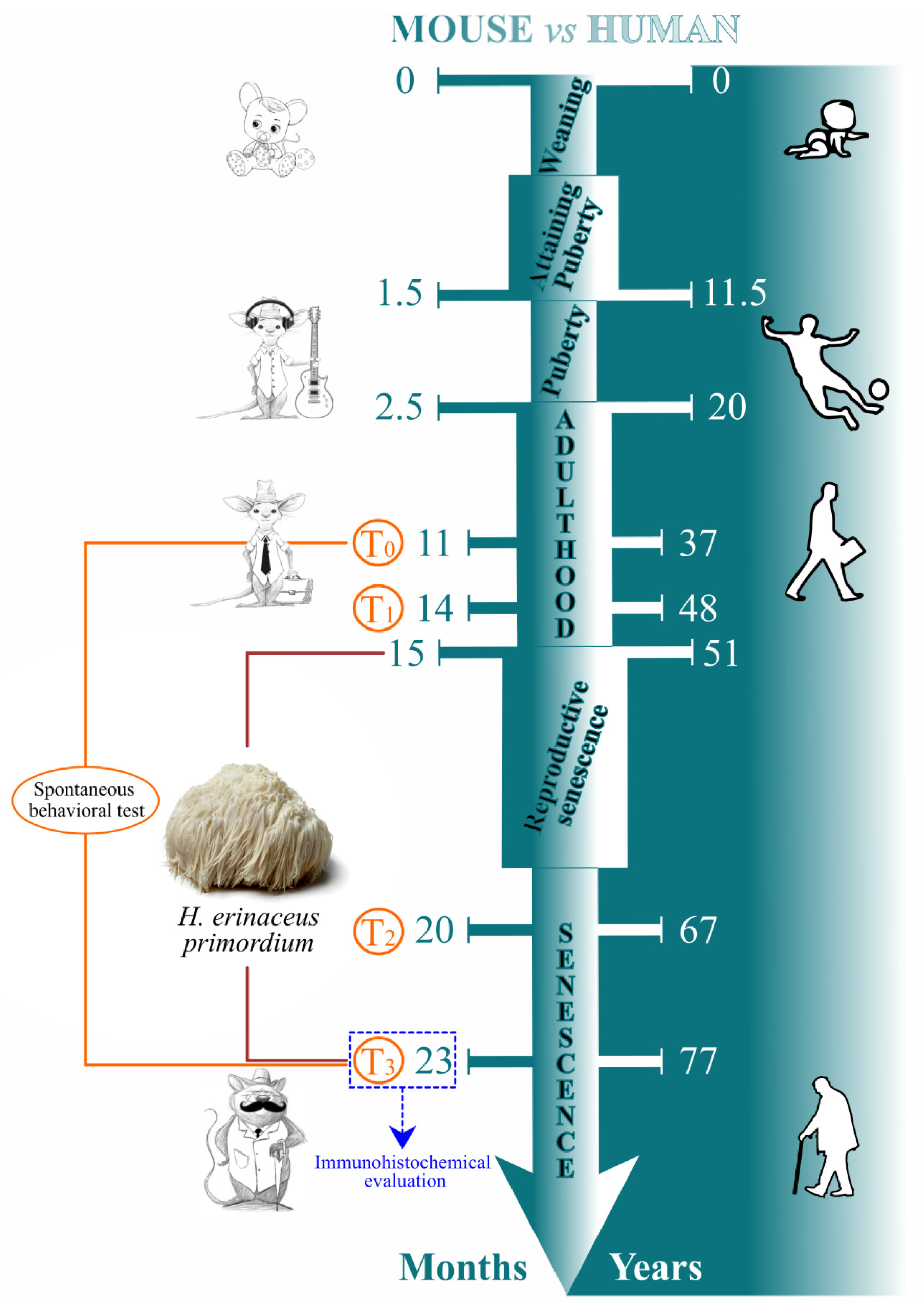 Nutrients 14 01177 g001