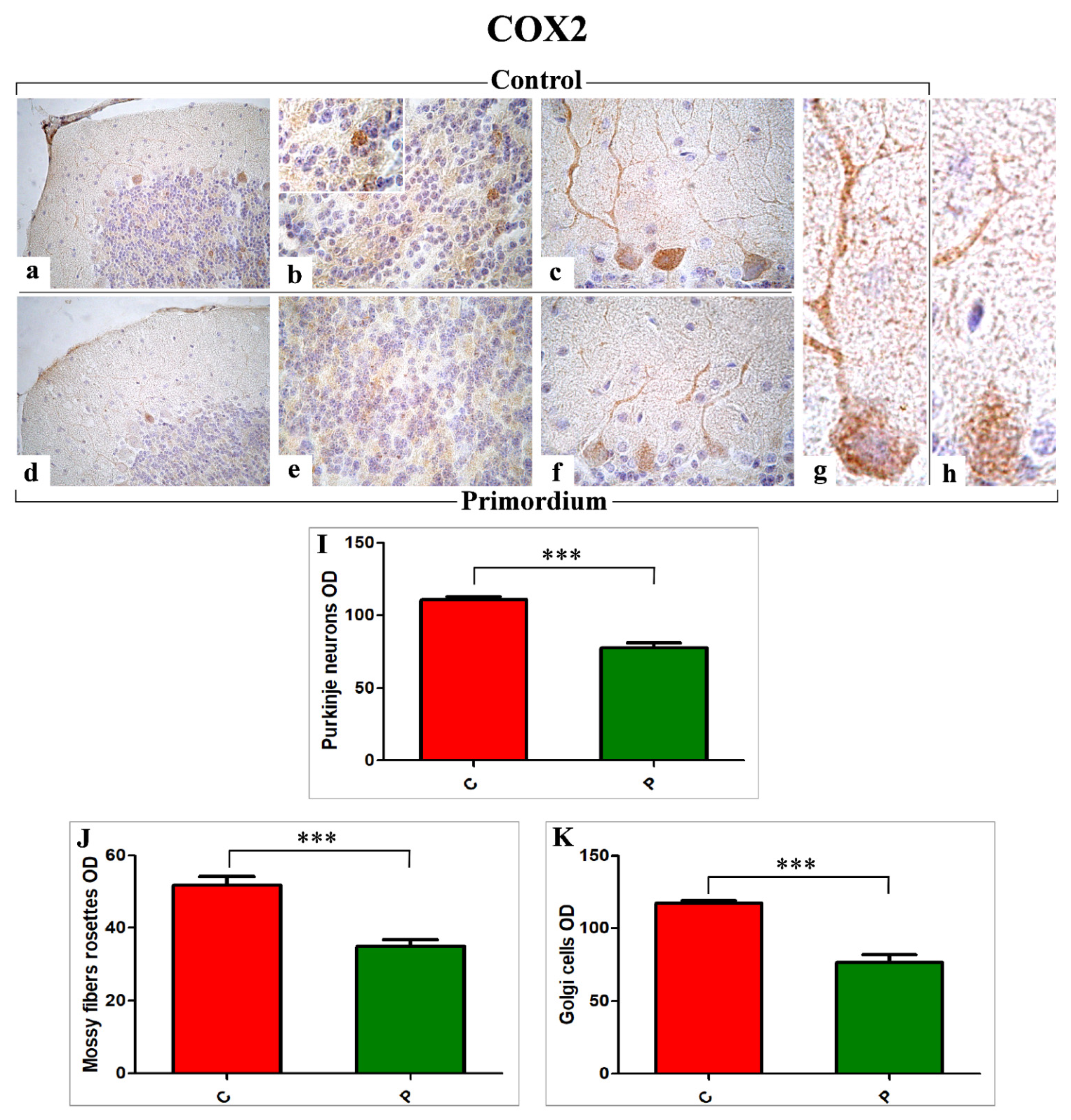 Nutrients 14 01177 g004