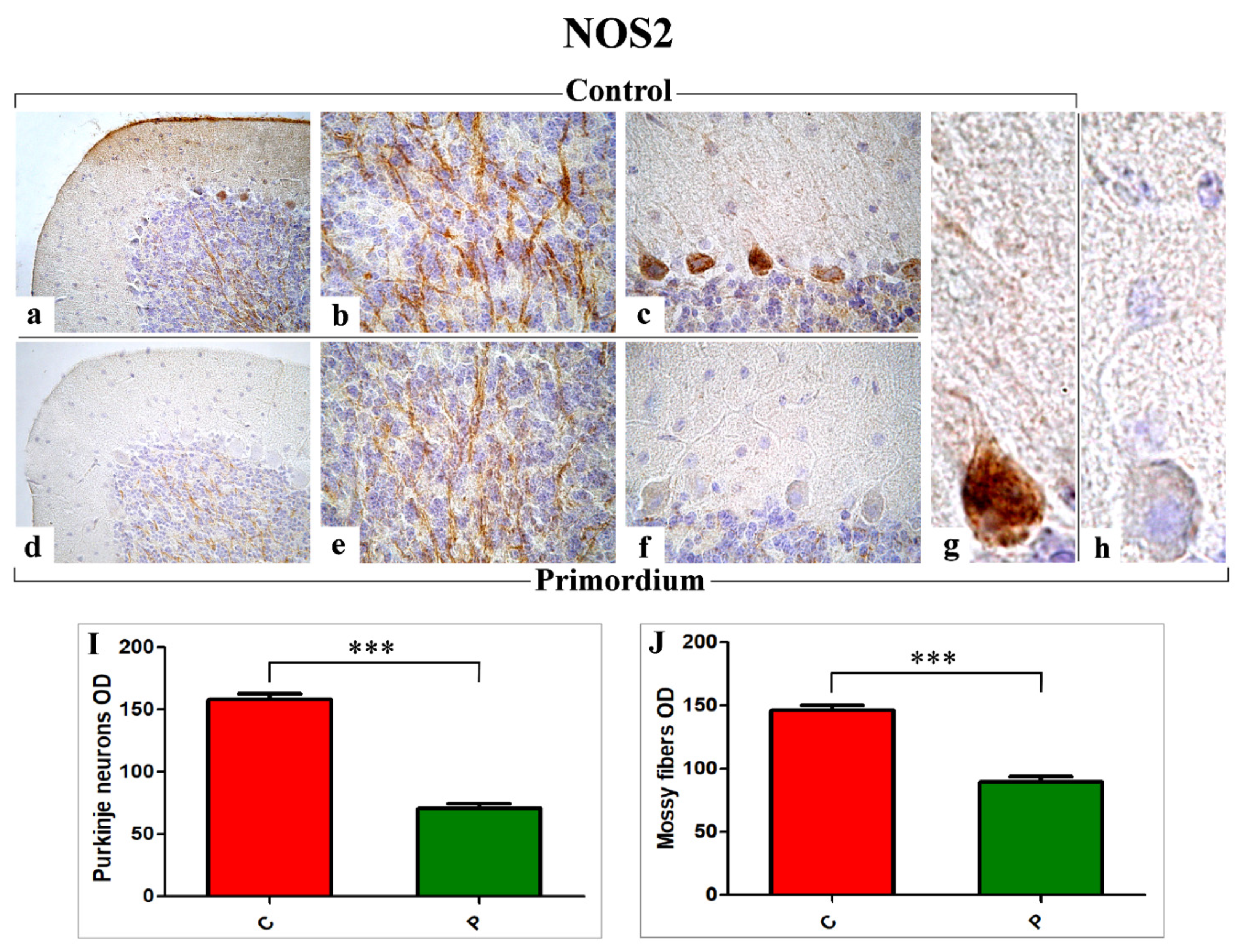 Nutrients 14 01177 g005