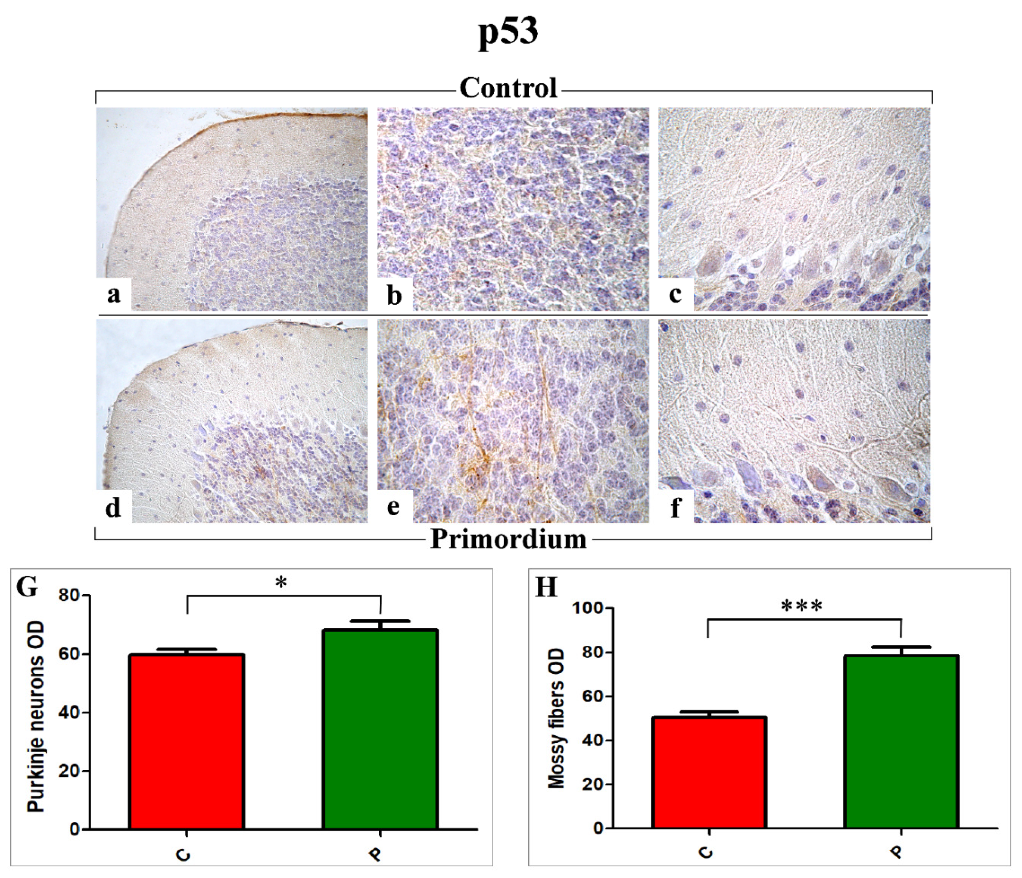 Nutrients 14 01177 g006
