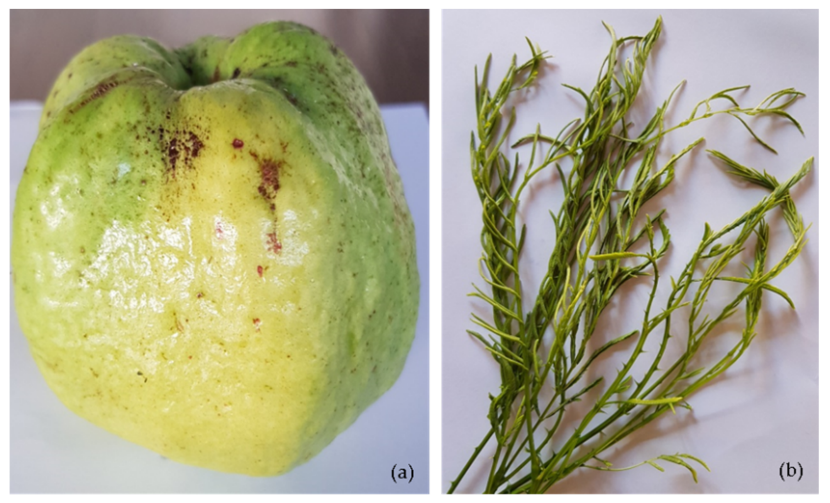 Nutrients 14 01192 g001