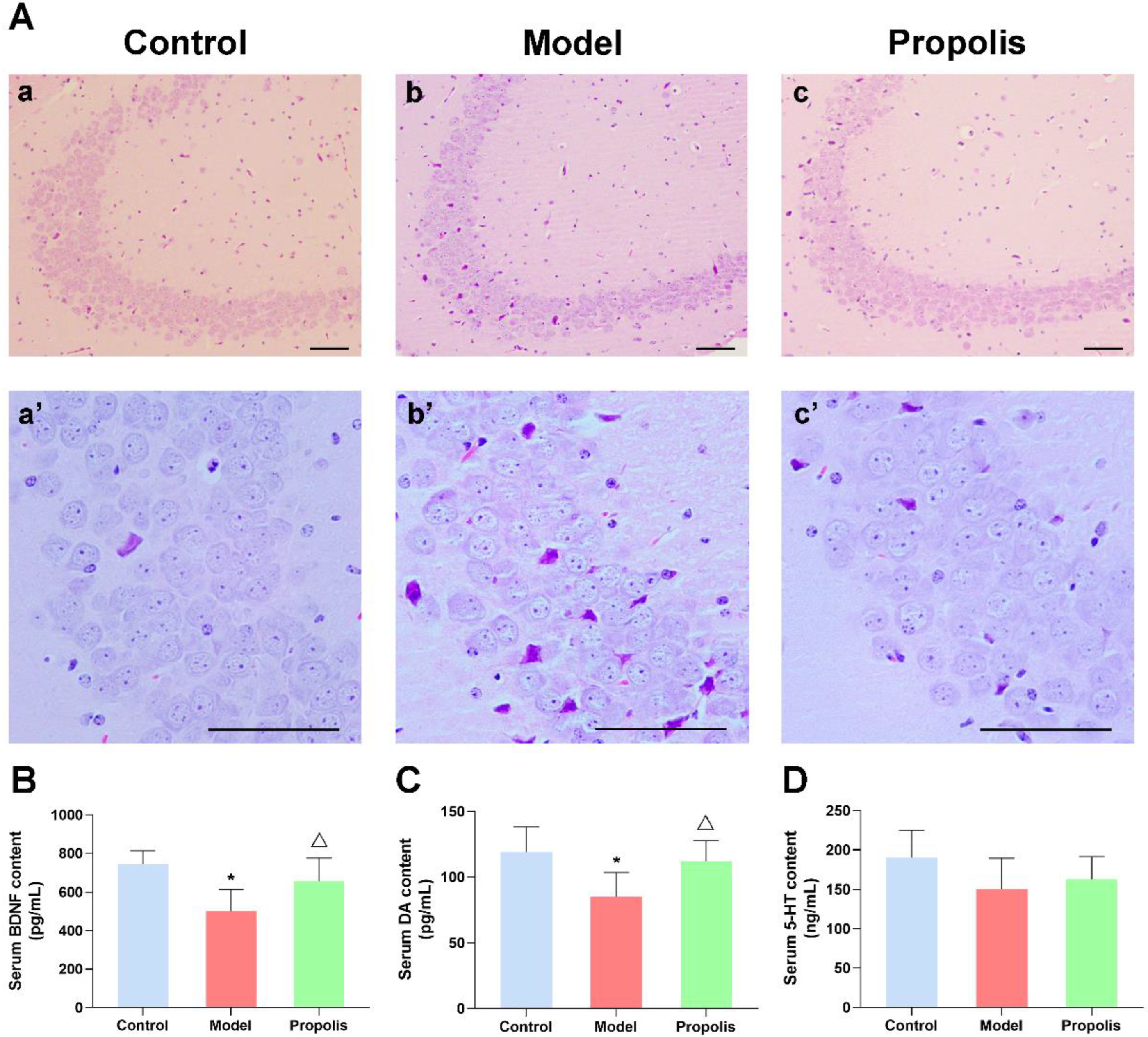 Nutrients 14 01213 g003