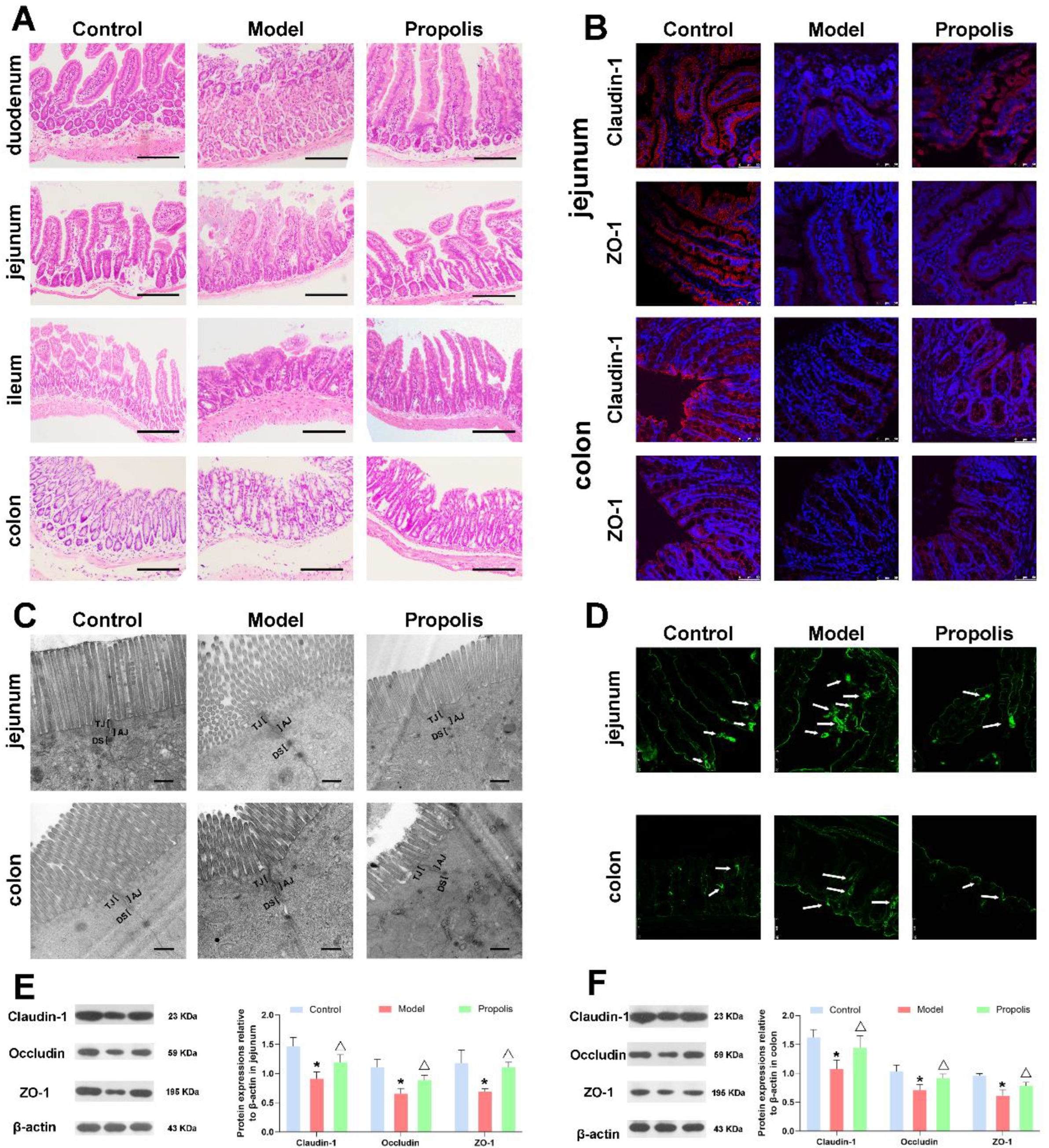 Nutrients 14 01213 g004