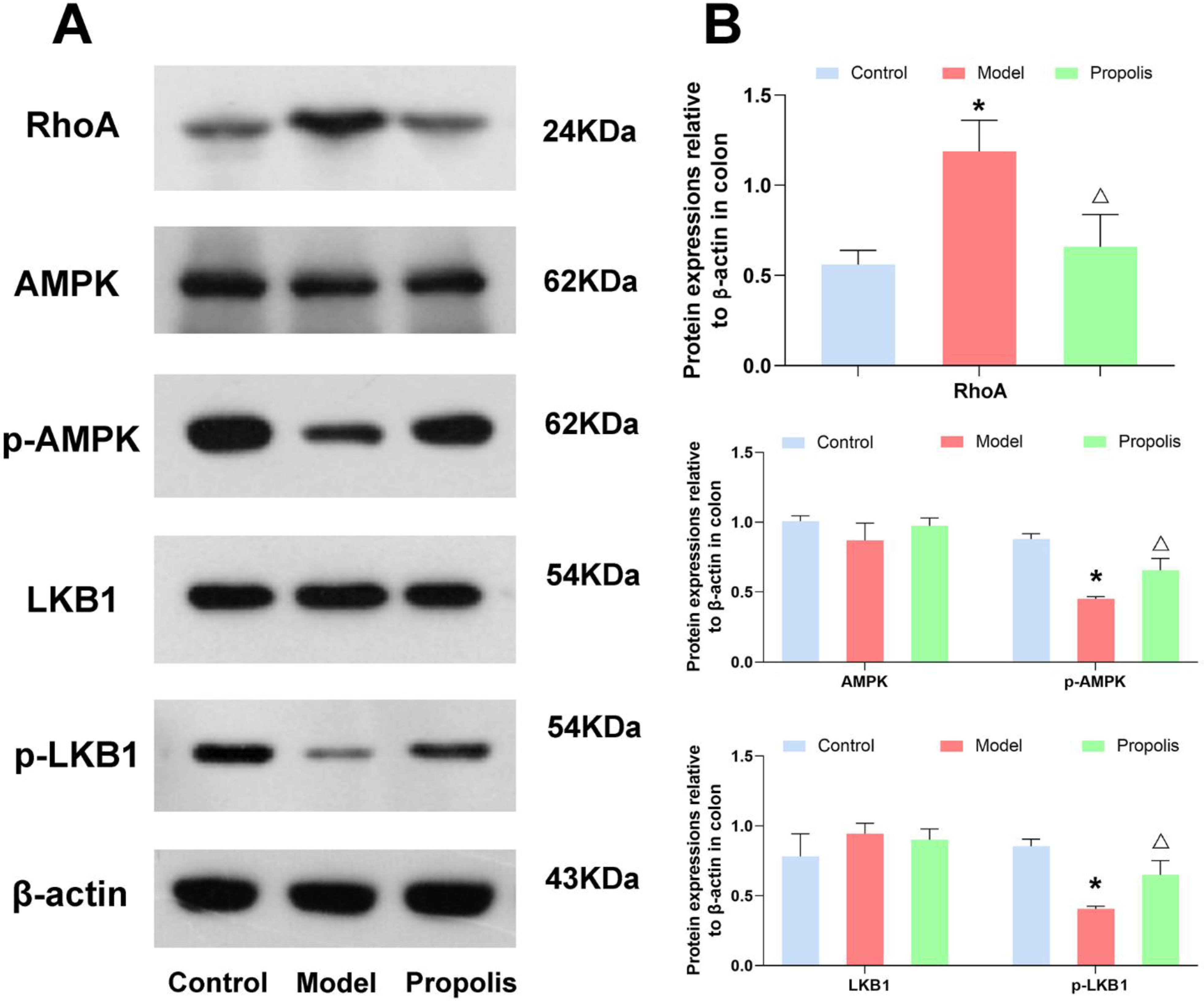 Nutrients 14 01213 g006