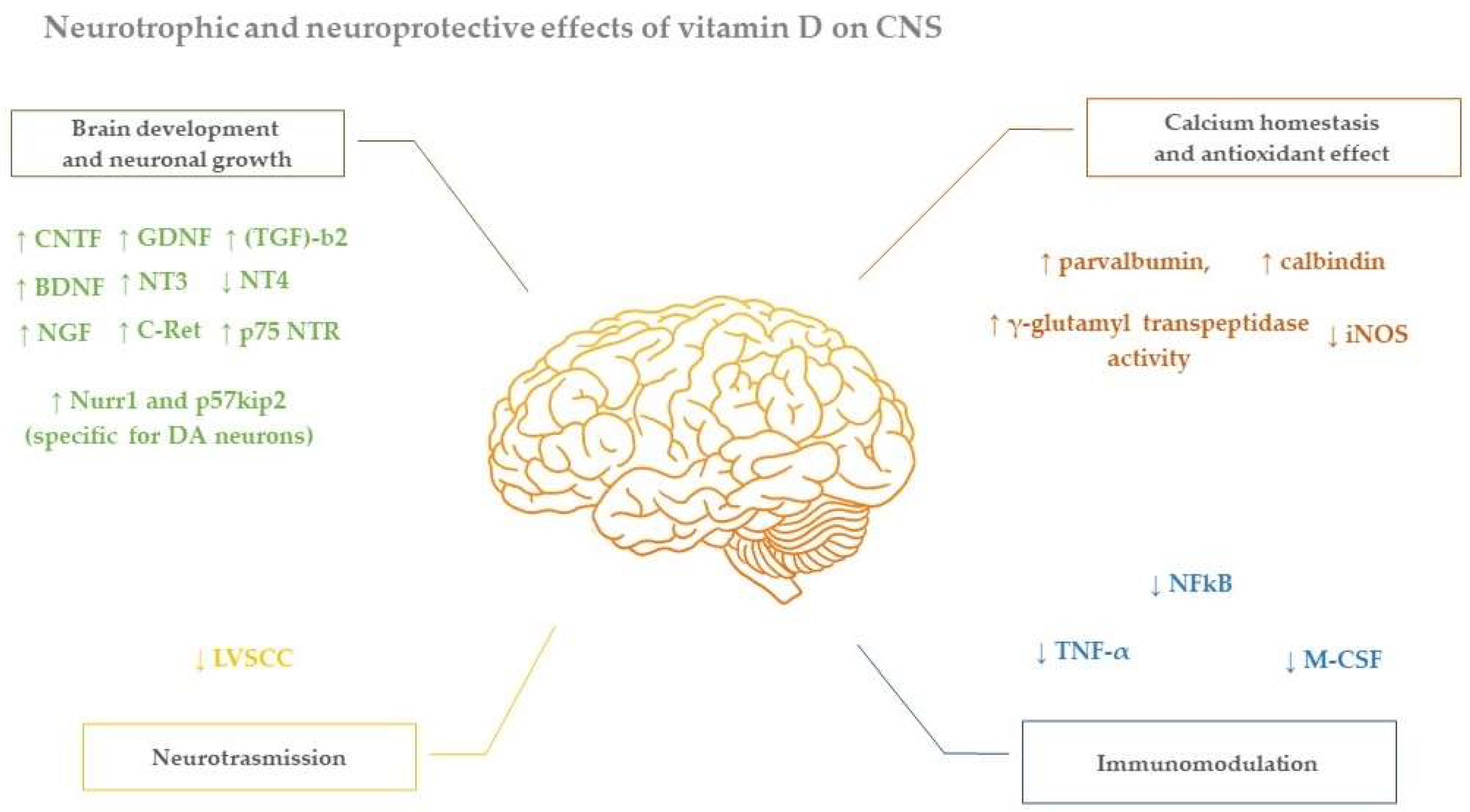 Nutrients 14 01220 g001