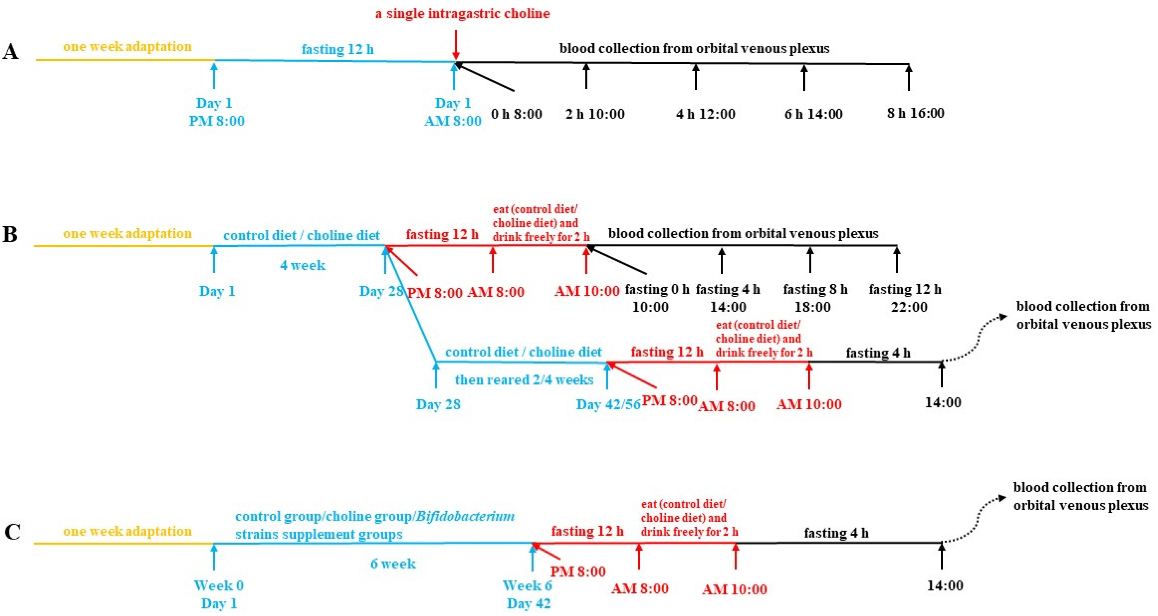 Nutrients 14 01222 g001