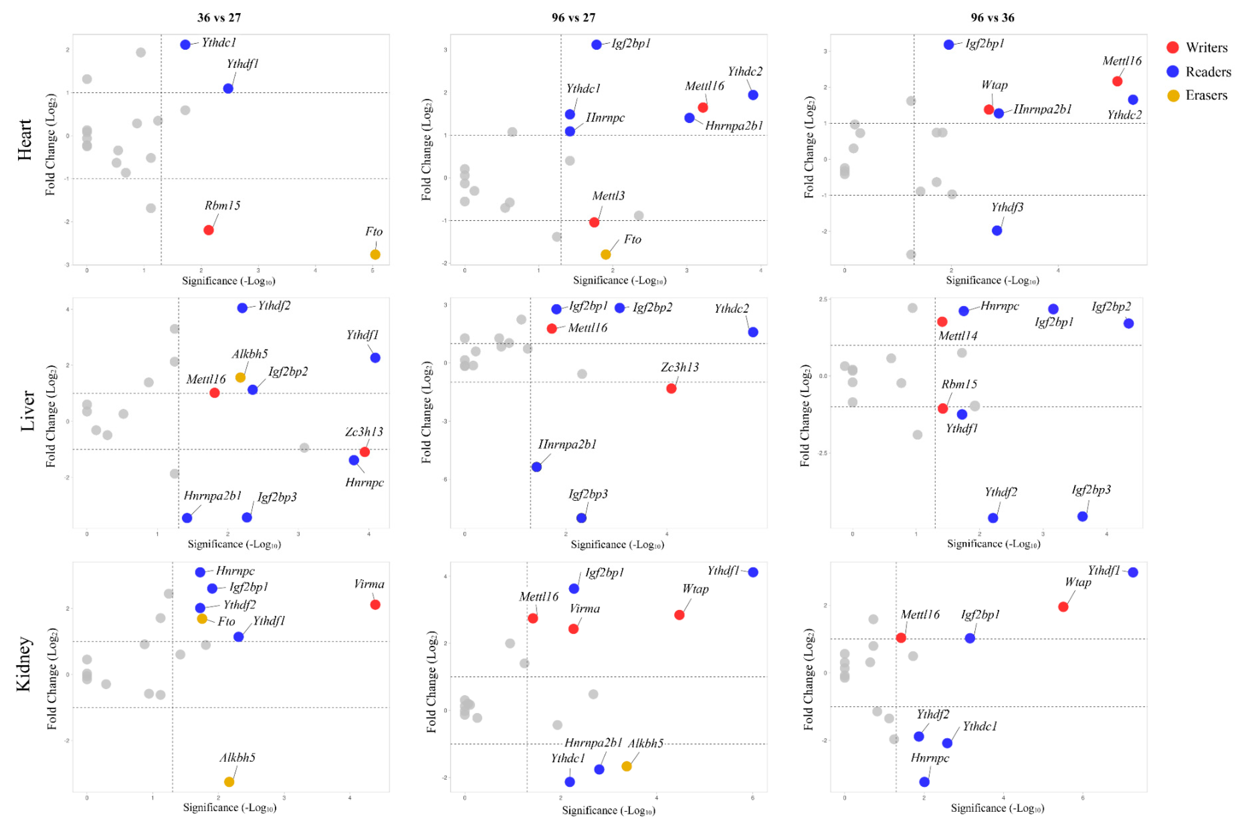 Nutrients 14 01232 g002