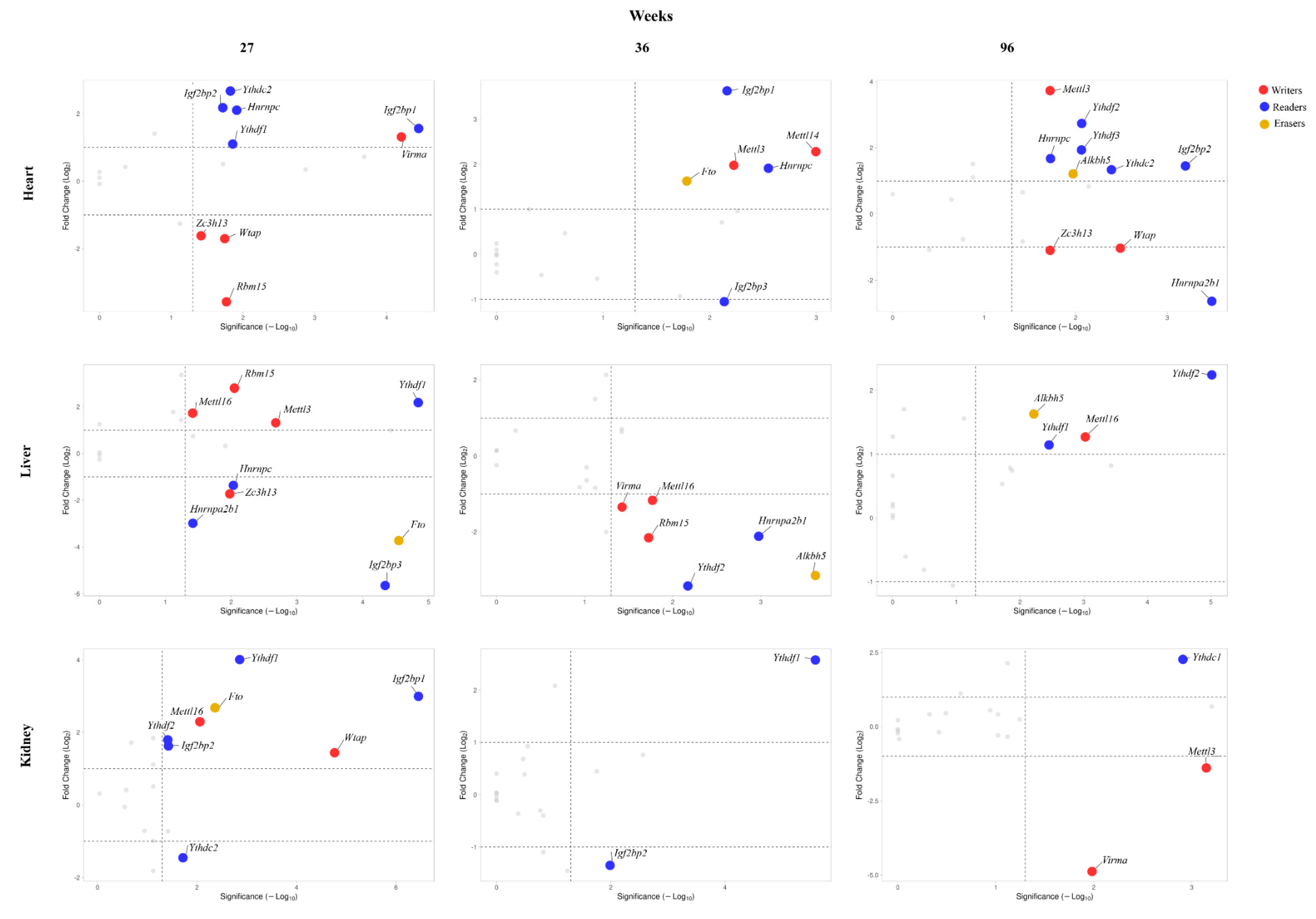 Nutrients 14 01232 g003