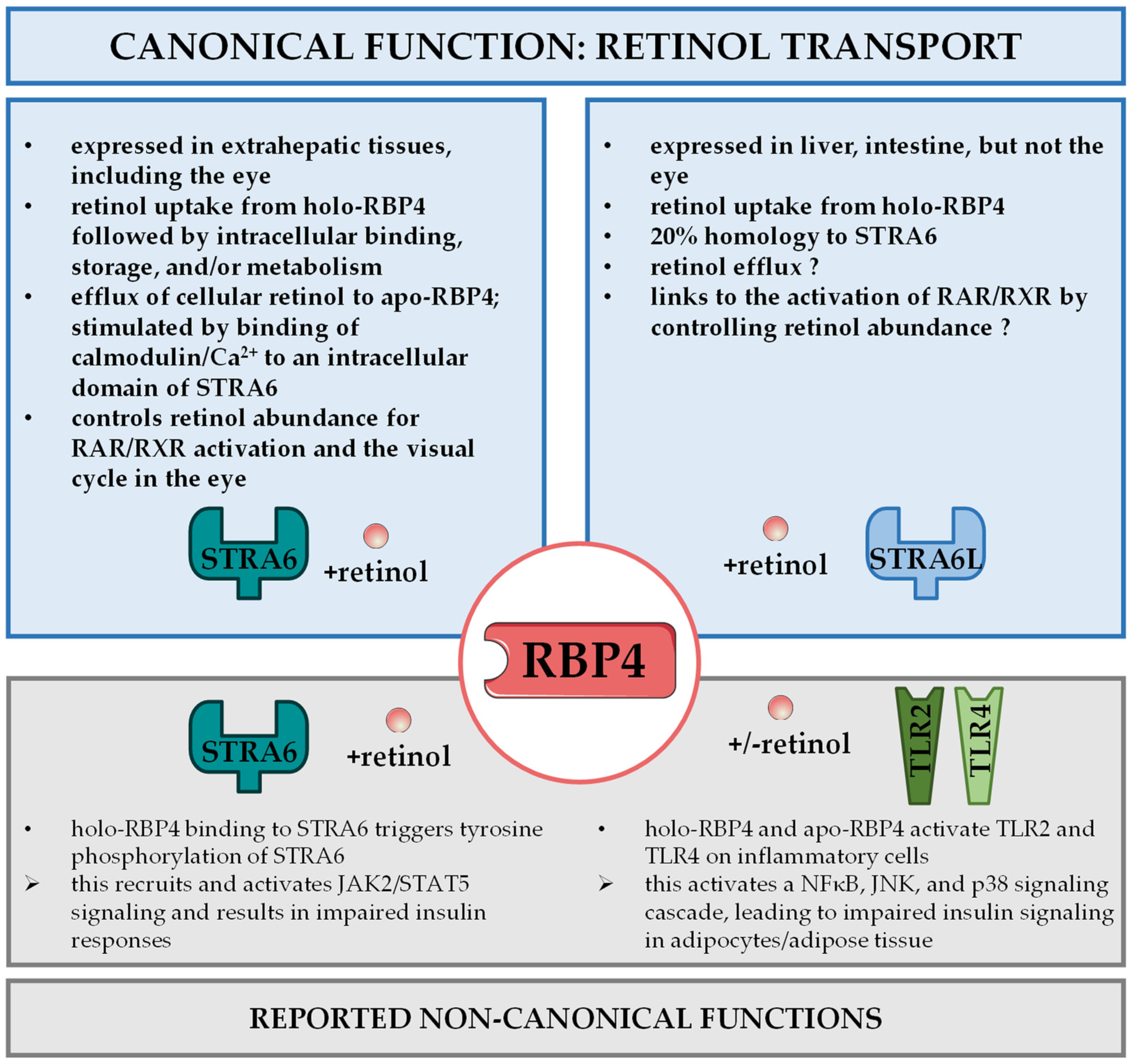 Nutrients 14 01236 g002