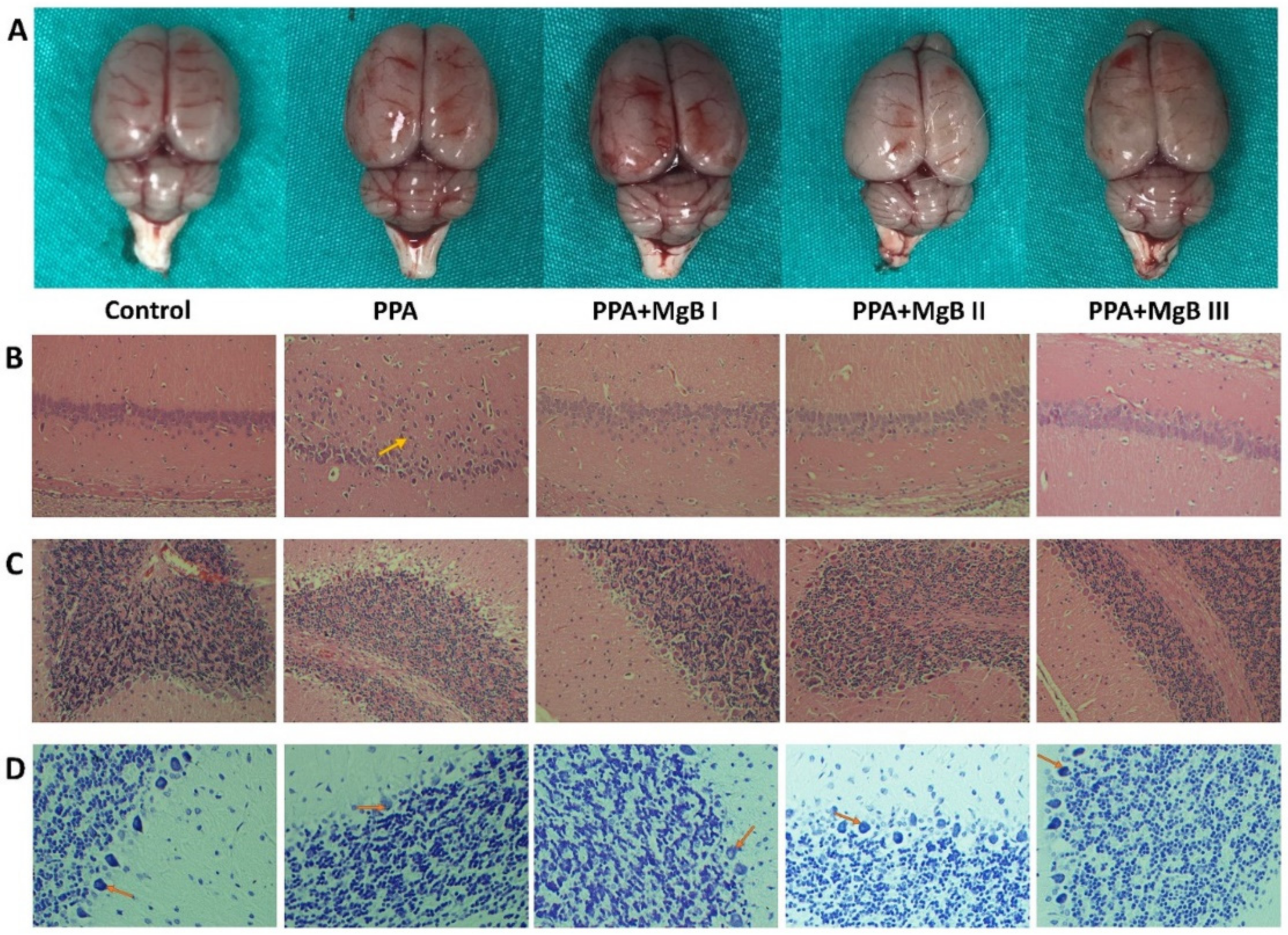 Nutrients 14 01280 g001 Nutrients 14 01280 g001