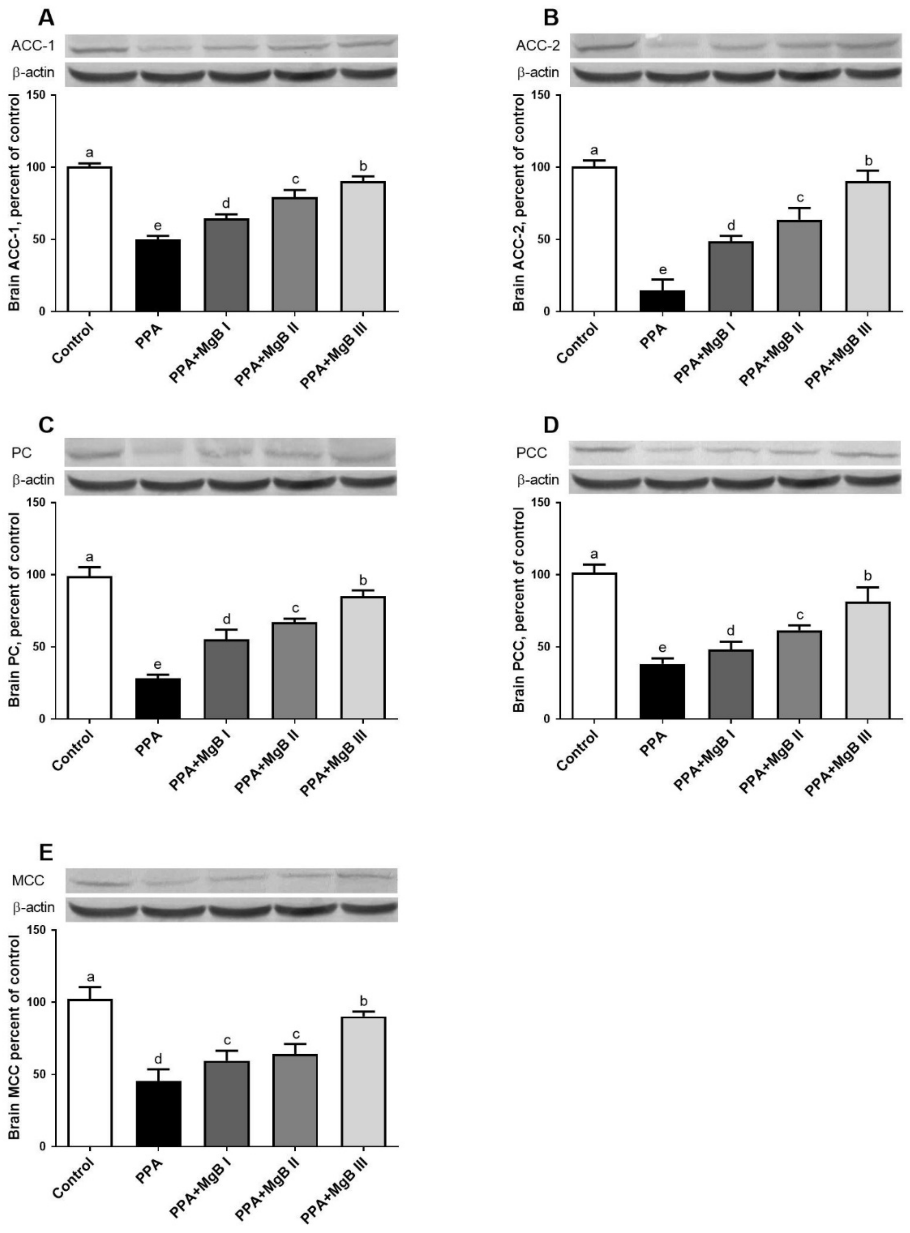 Nutrients 14 01280 g004 Nutrients 14 01280 g004
