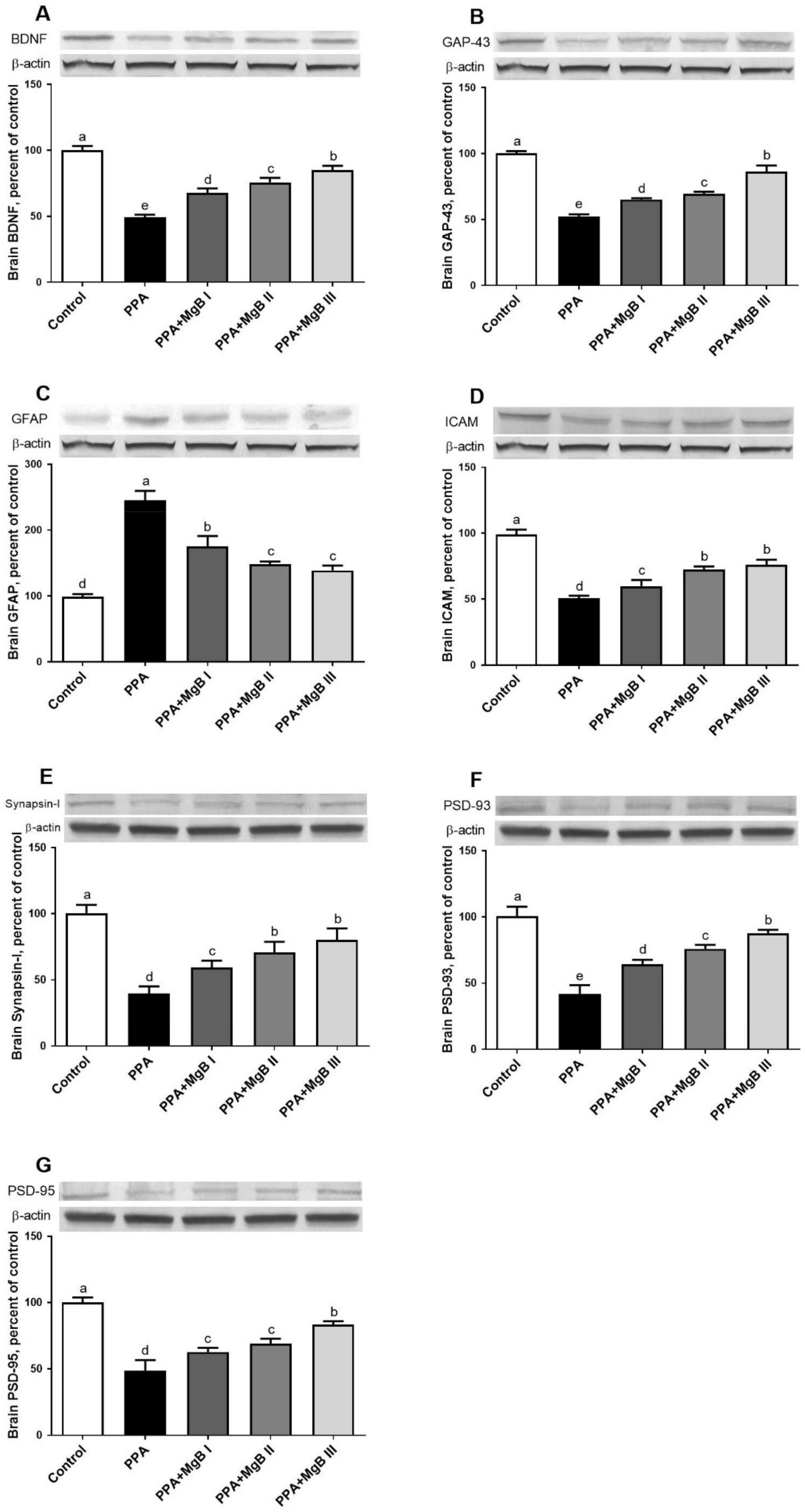 Nutrients 14 01280 g005 Nutrients 14 01280 g005