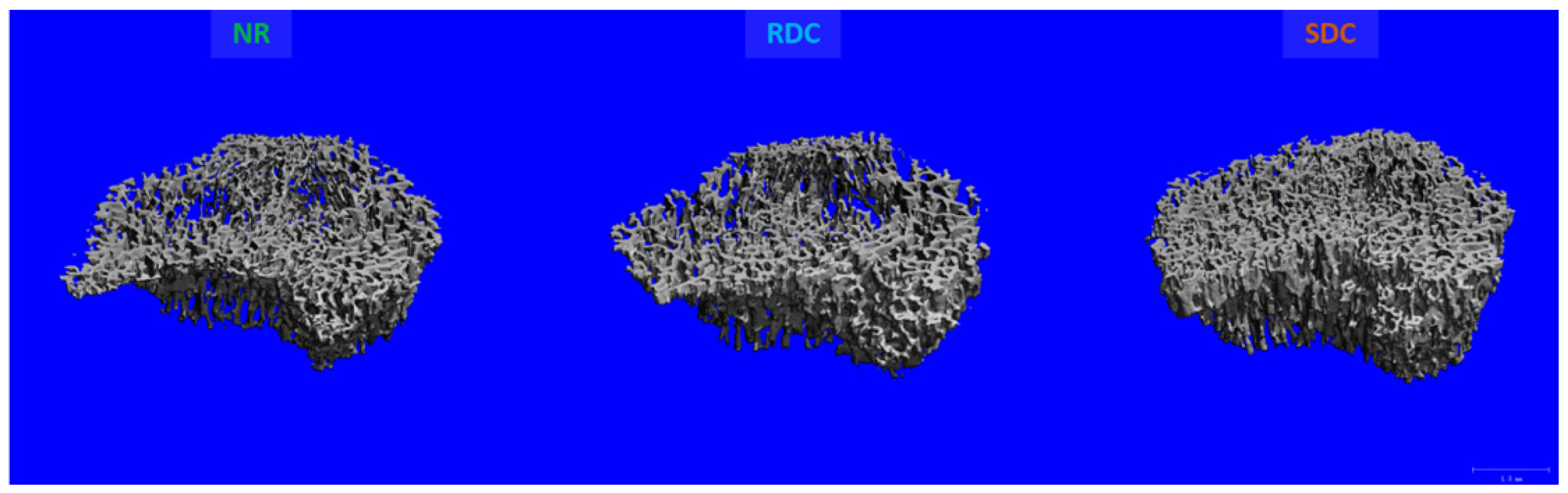 Nutrients 14 01303 g002