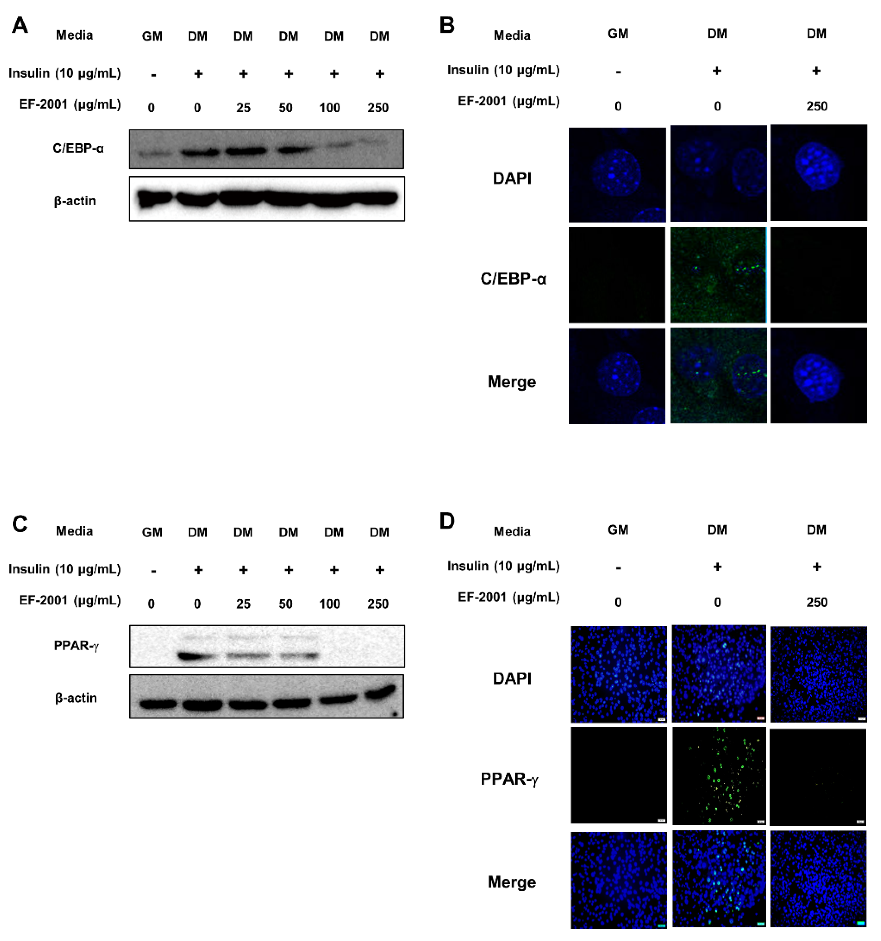 Nutrients 14 01308 g006