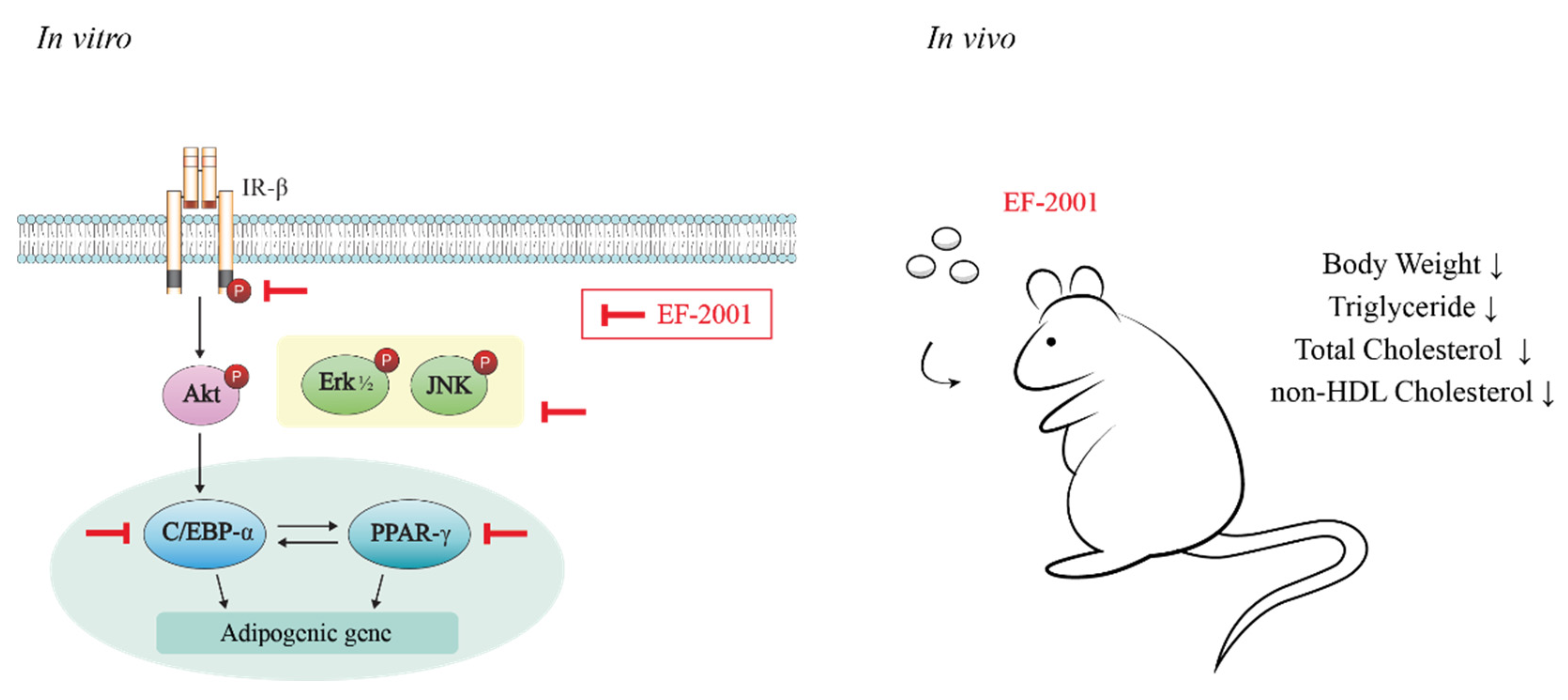 Nutrients 14 01308 g008