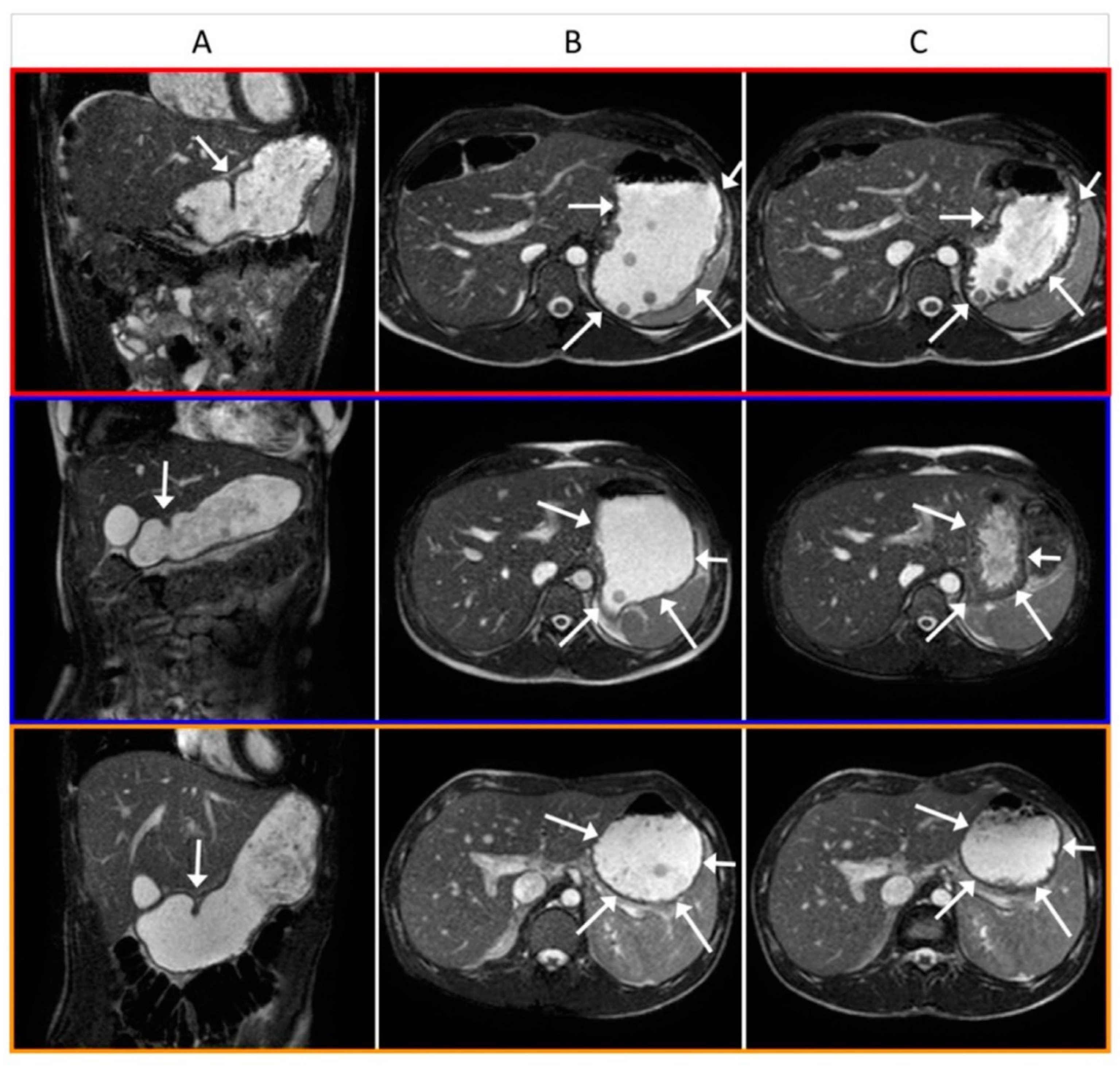 Nutrients 14 01321 g004