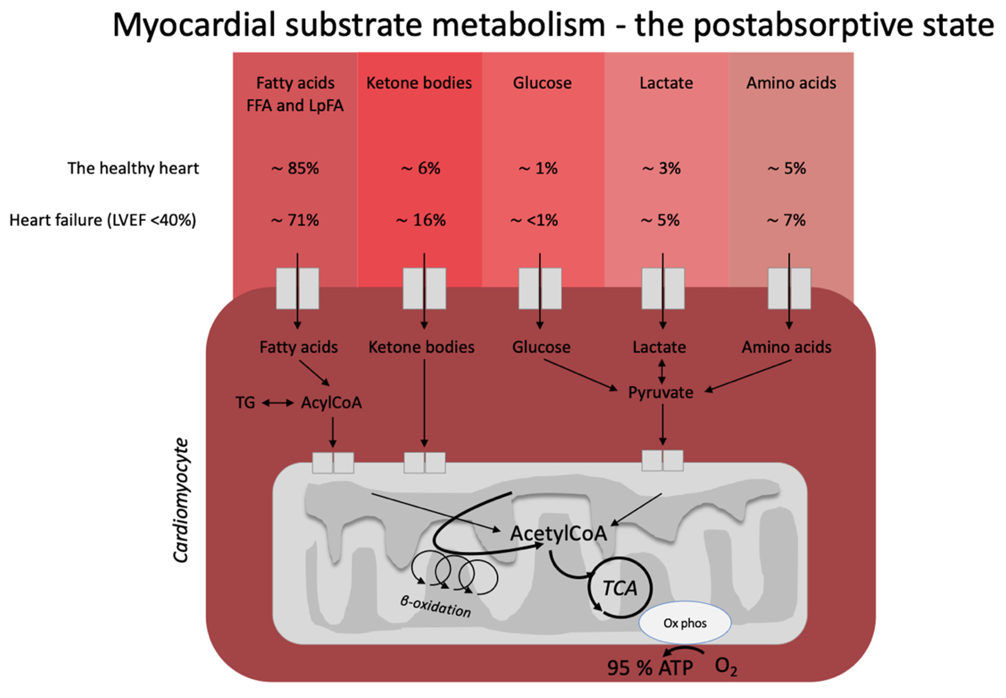 Nutrients 14 01322 g001 Nutrients 14 01322 g001