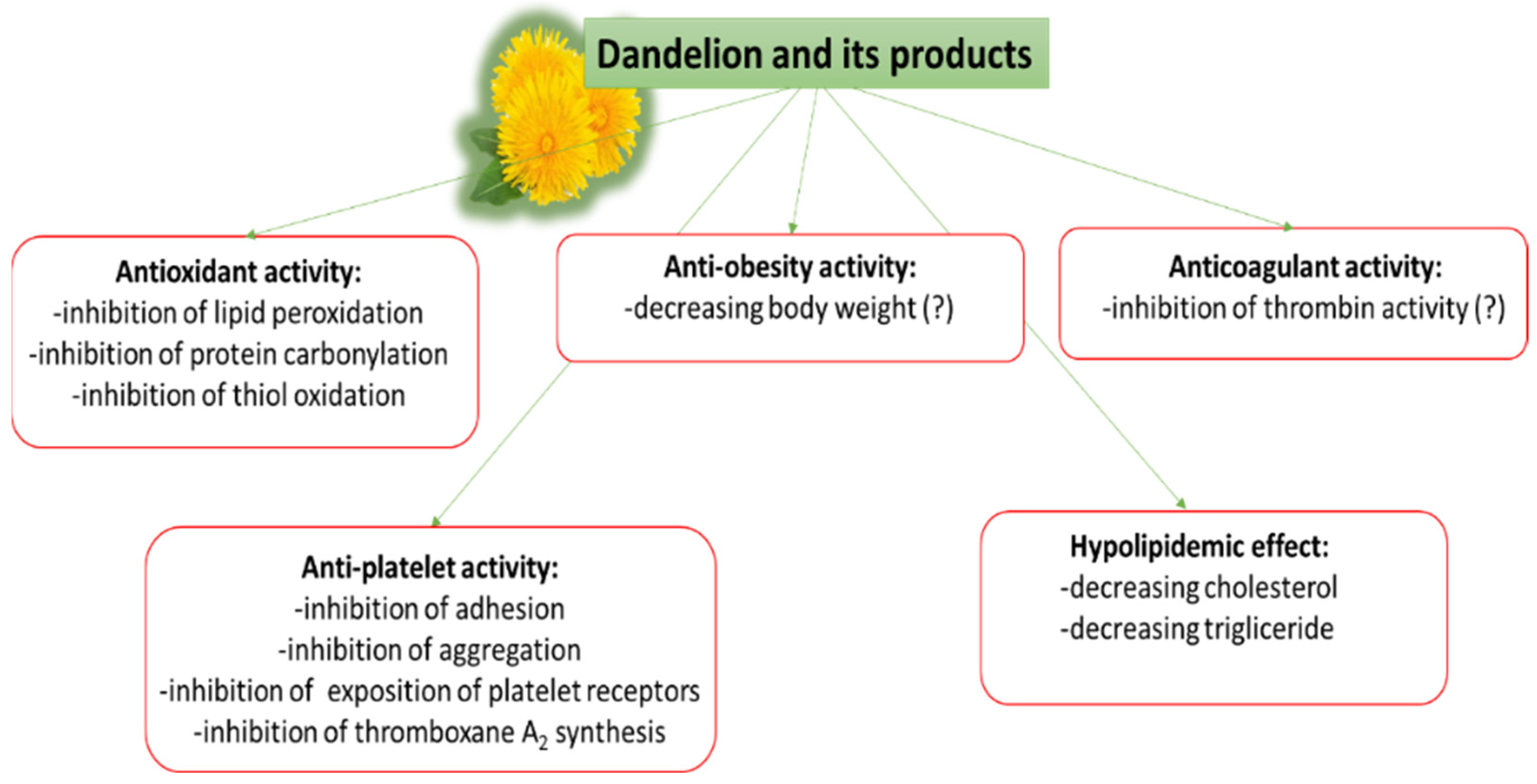 Nutrients 14 01350 g001 Nutrients 14 01350 g001