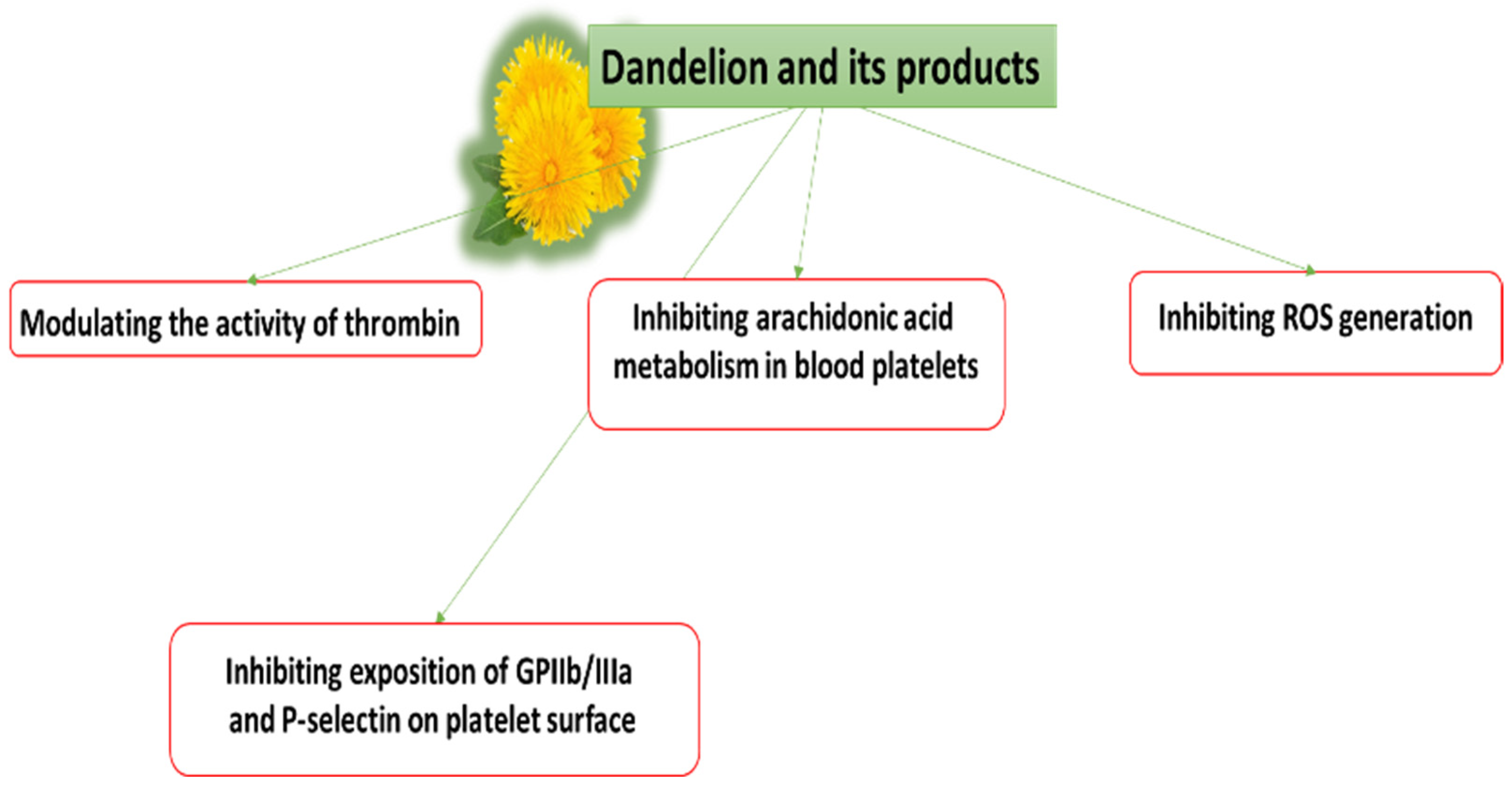 Nutrients 14 01350 g002 Nutrients 14 01350 g002