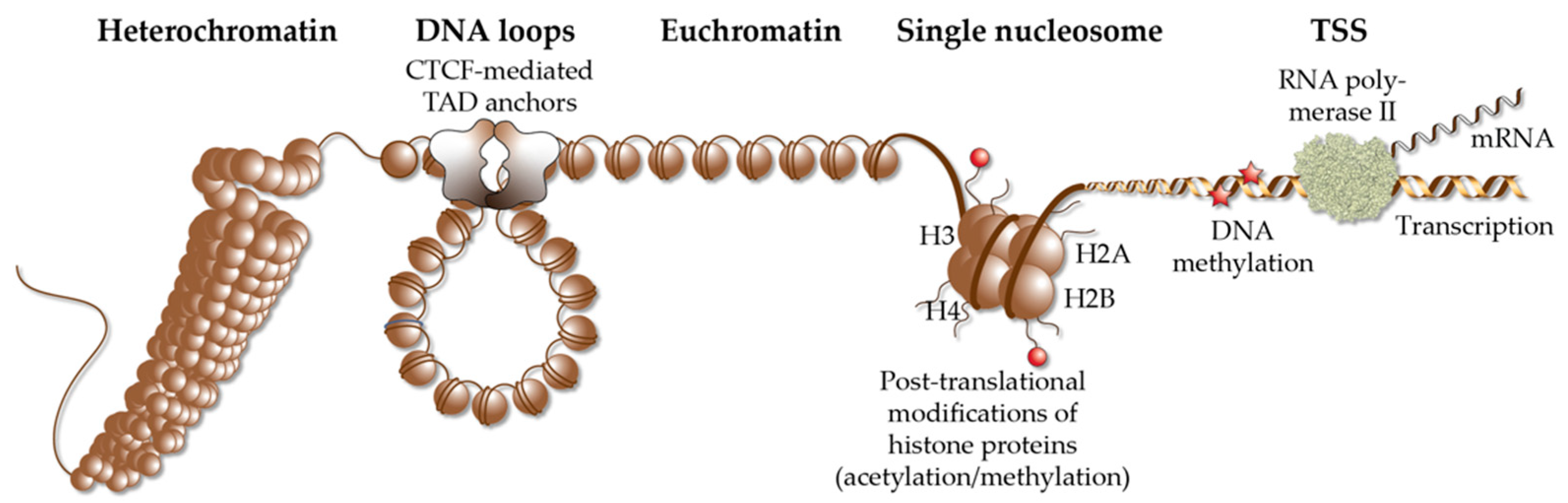 Nutrients 14 01354 g002