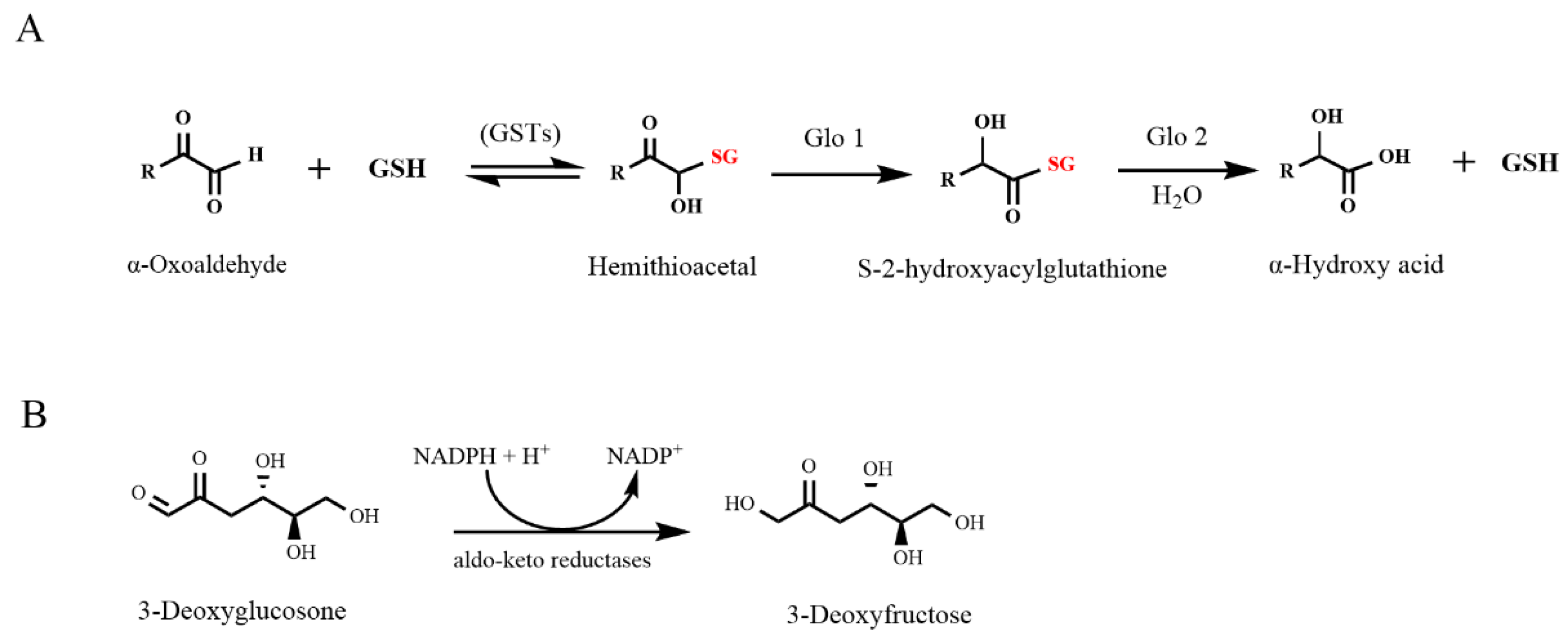 Nutrients 14 01364 g001