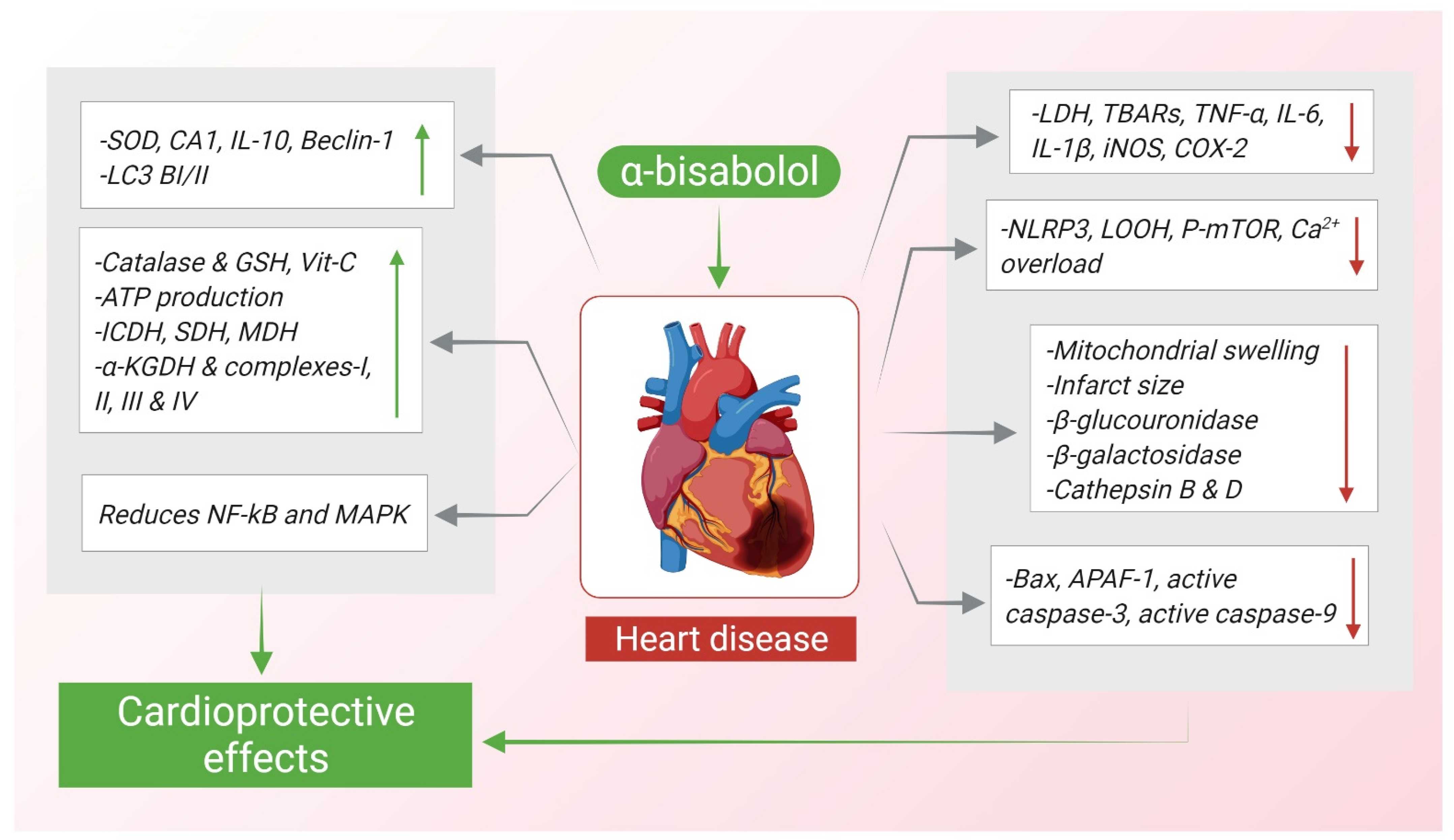 Nutrients 14 01370 g005