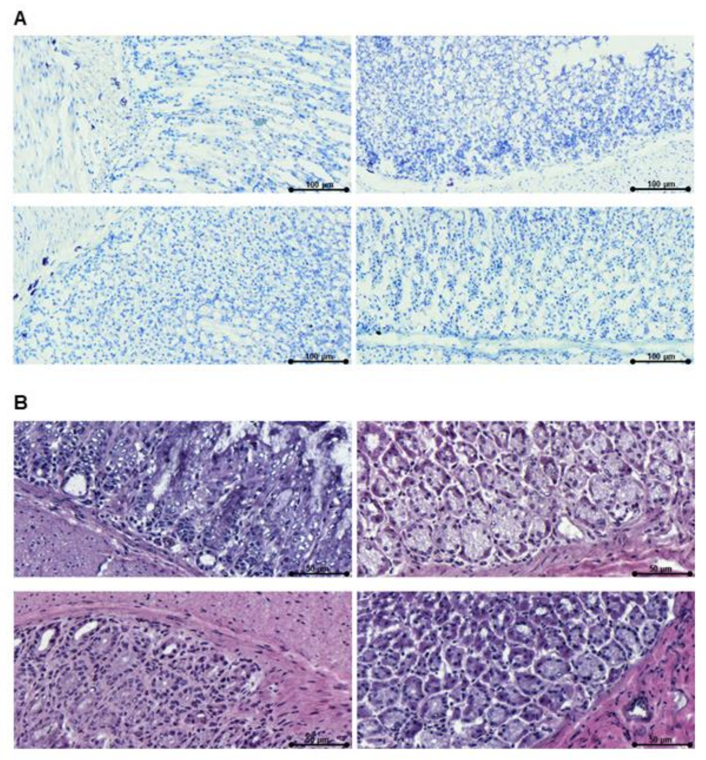 Nutrients 14 01373 g007
