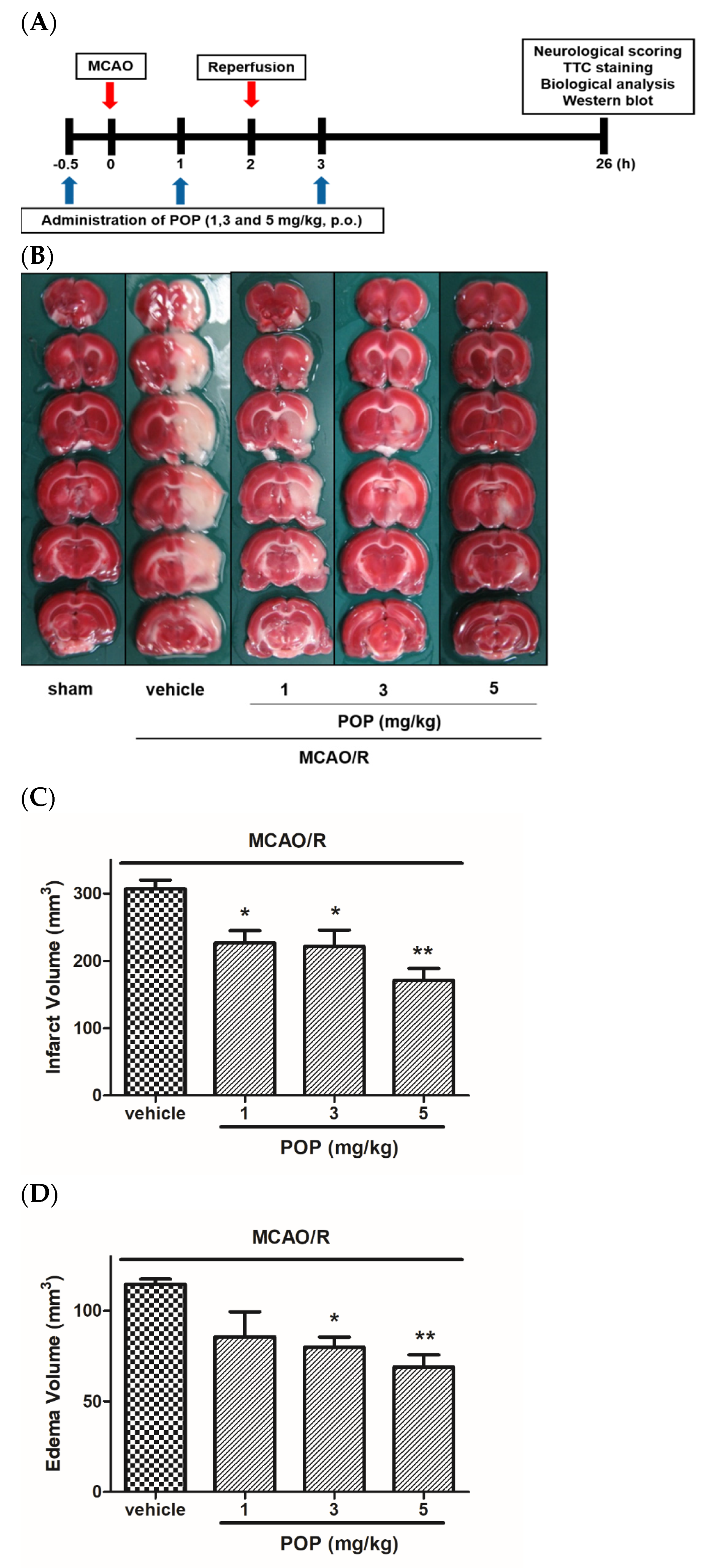 Nutrients 14 01380 g002a