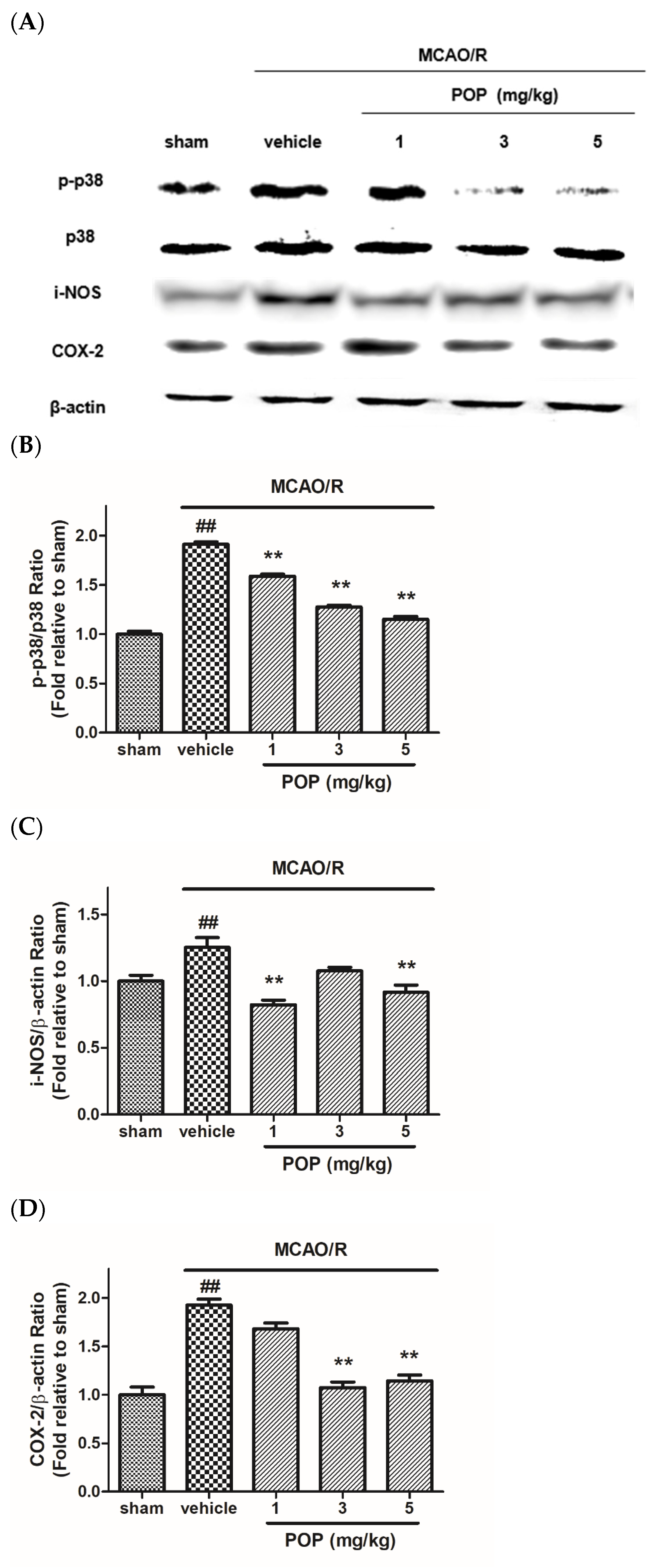Nutrients 14 01380 g005