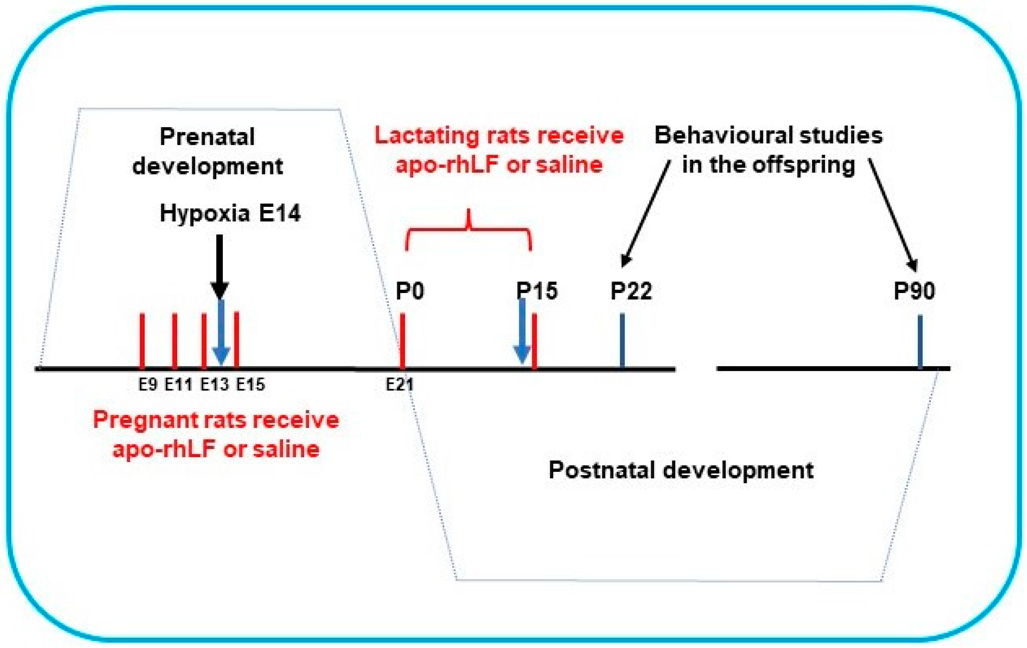 Nutrients 14 01399 g001