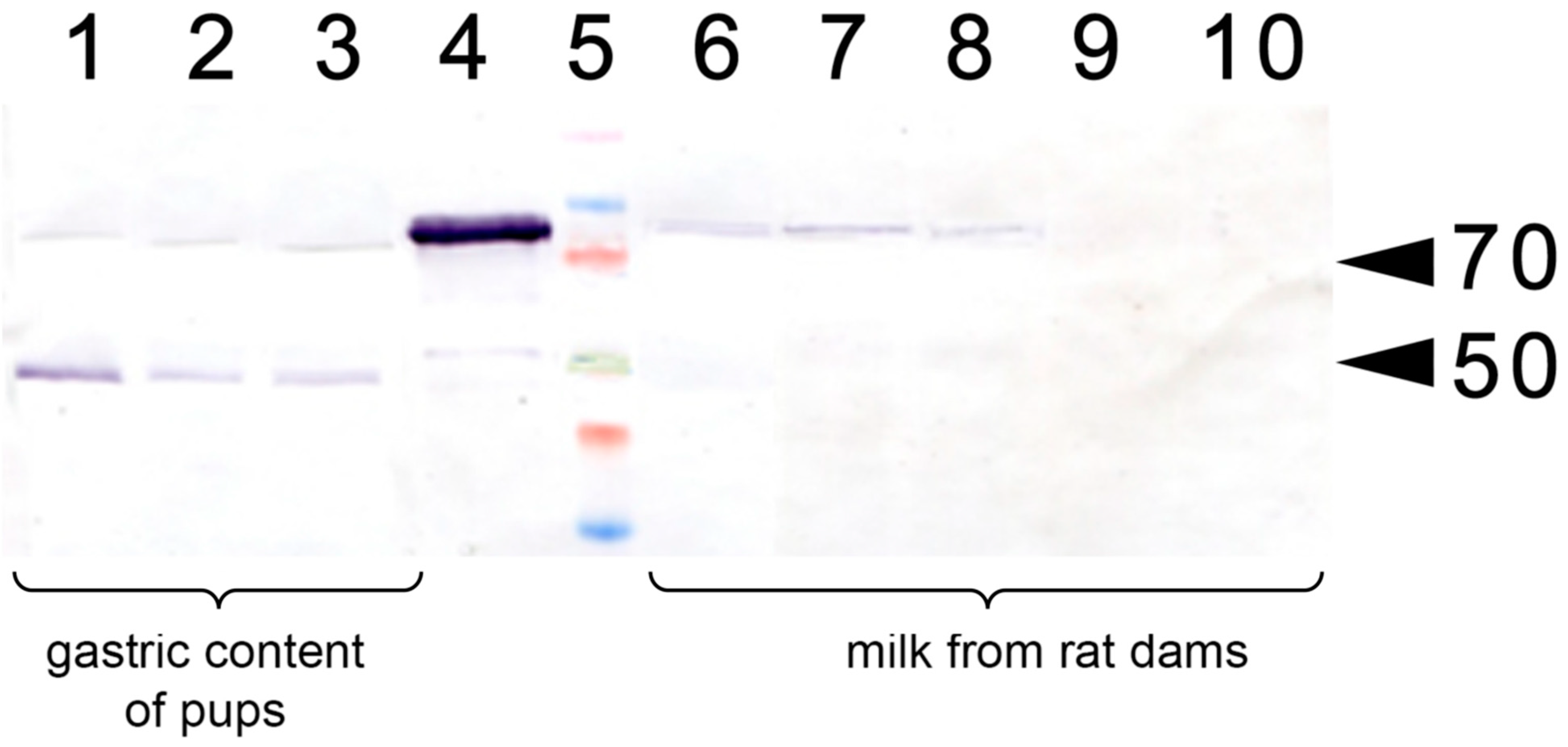 Nutrients 14 01399 g003