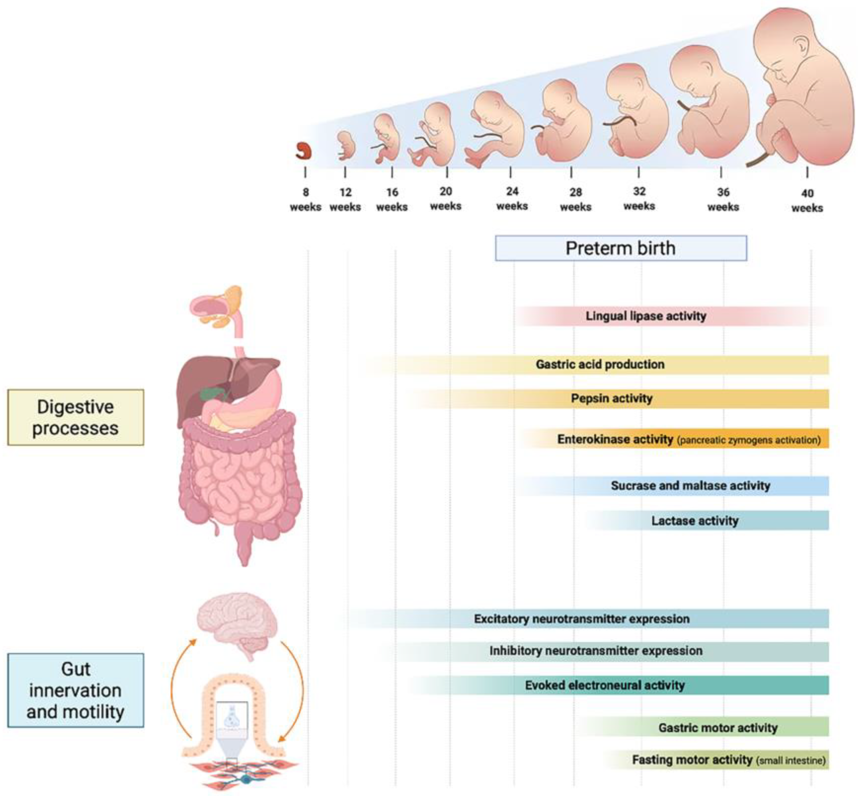 Nutrients 14 01405 g001