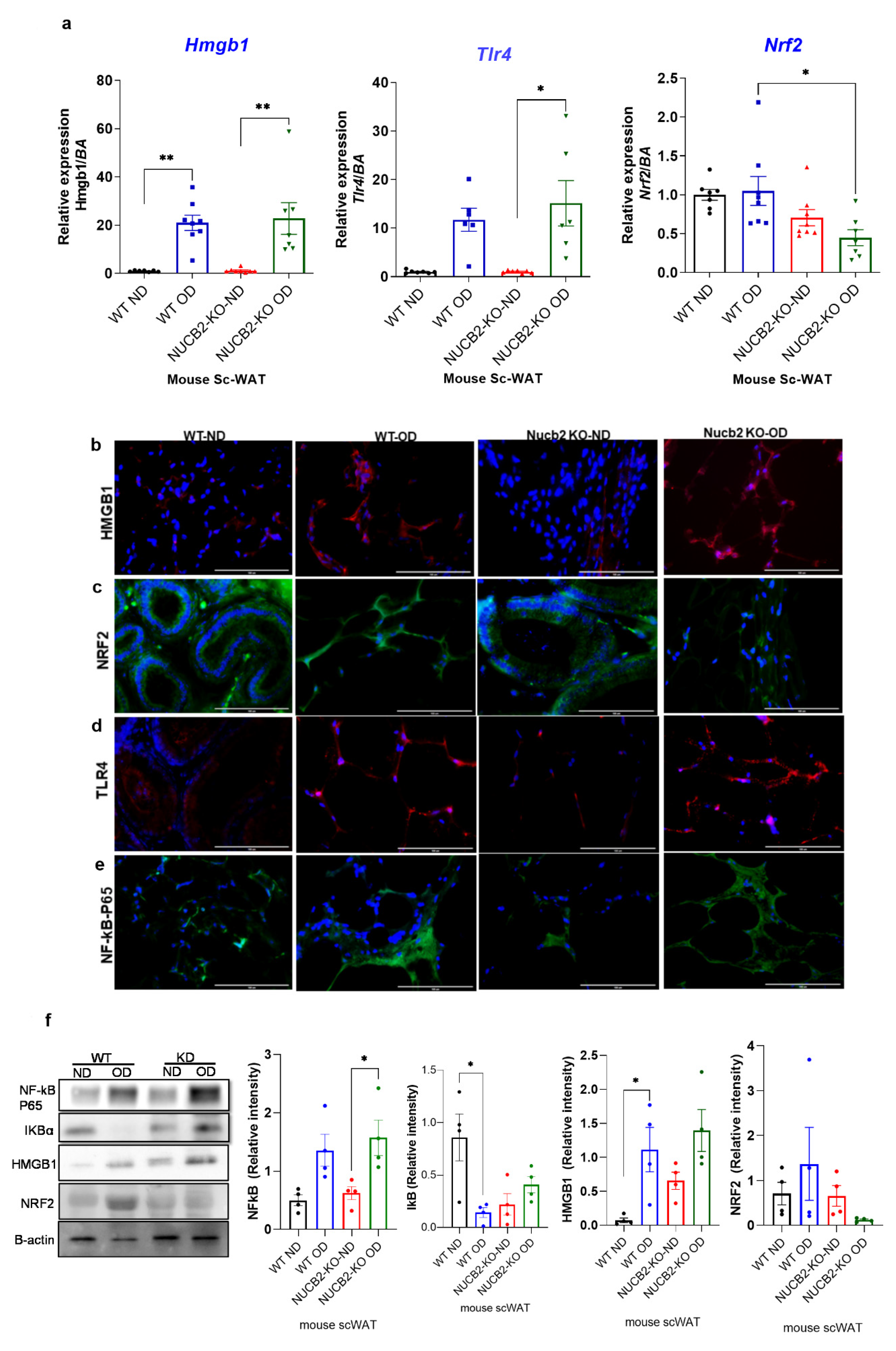 Nutrients 14 01409 g002