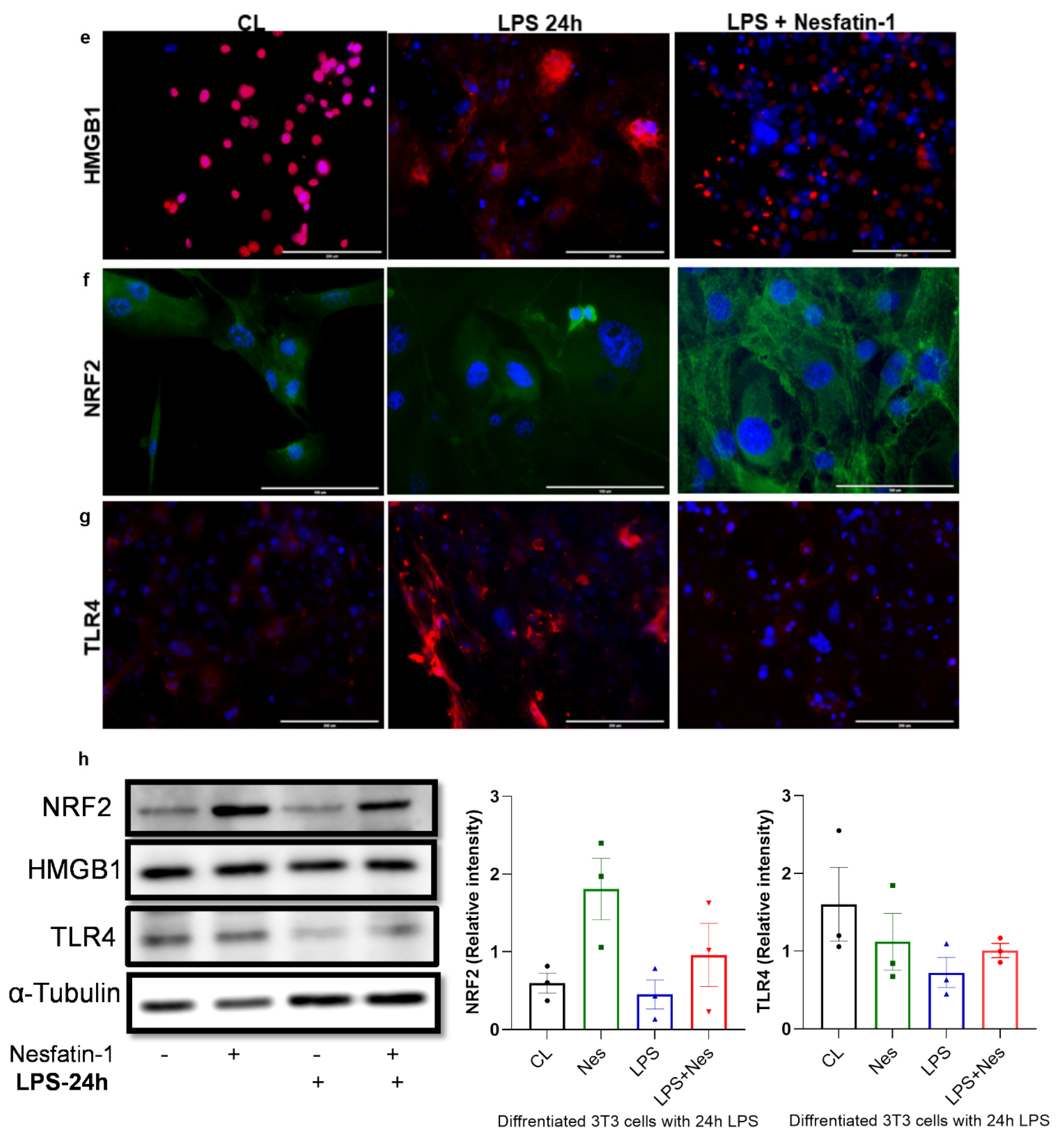 Nutrients 14 01409 g003b