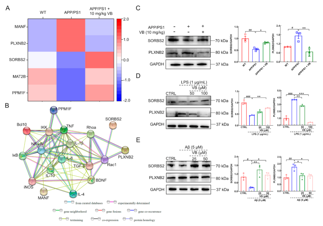 Nutrients 14 01417 g001