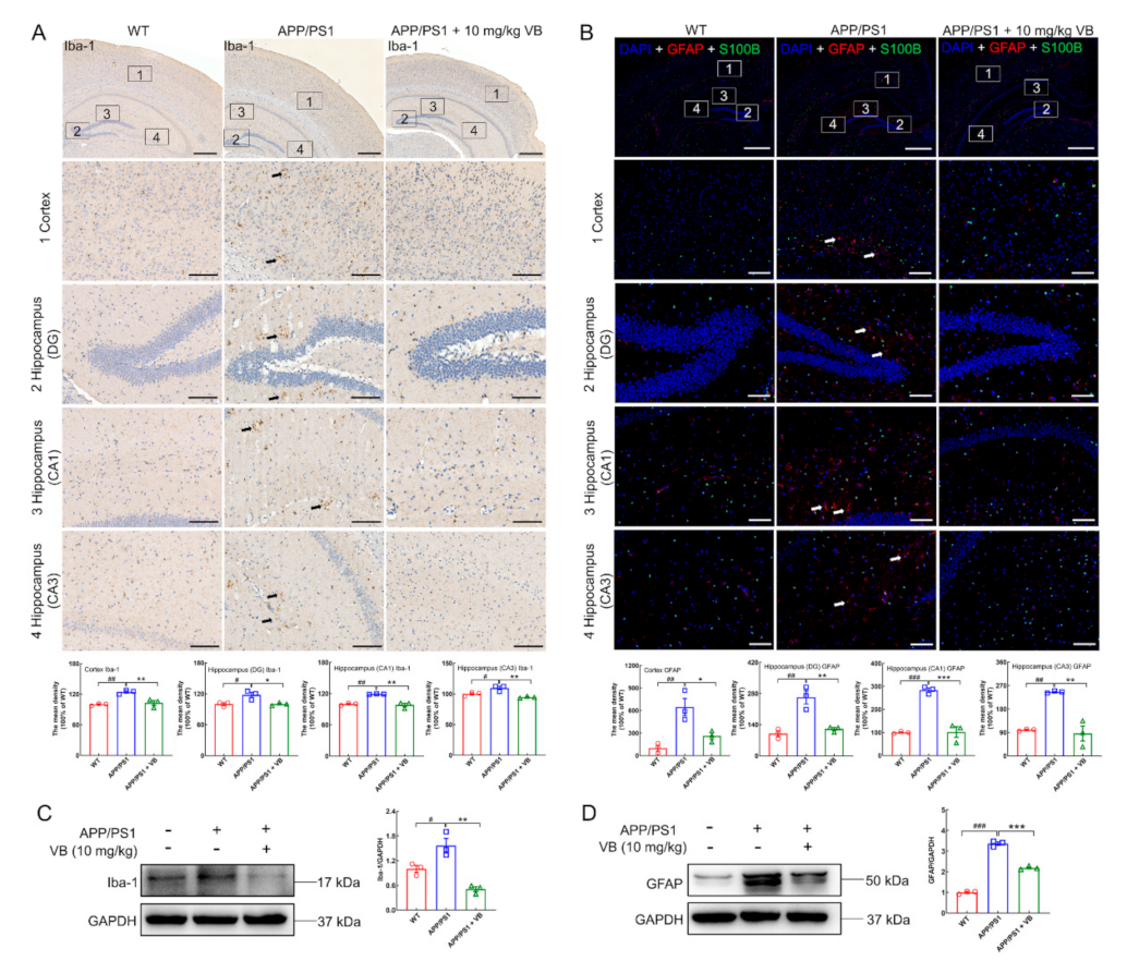 Nutrients 14 01417 g002