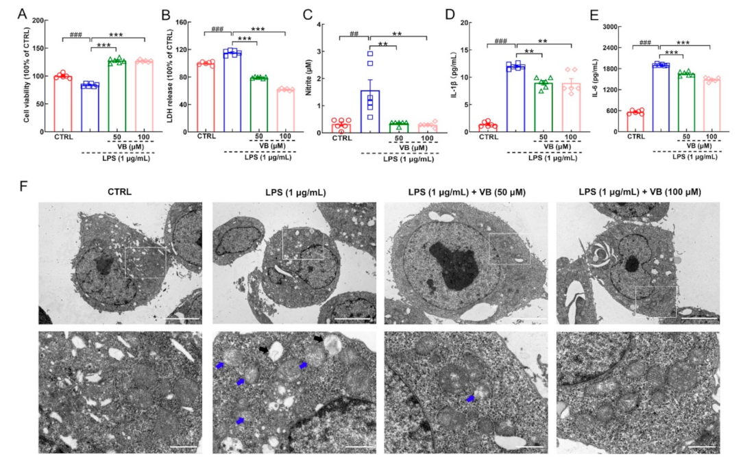 Nutrients 14 01417 g004