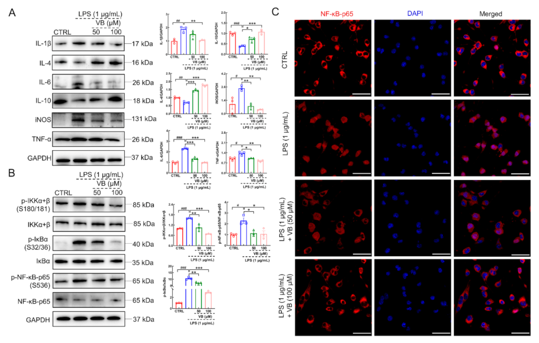 Nutrients 14 01417 g005
