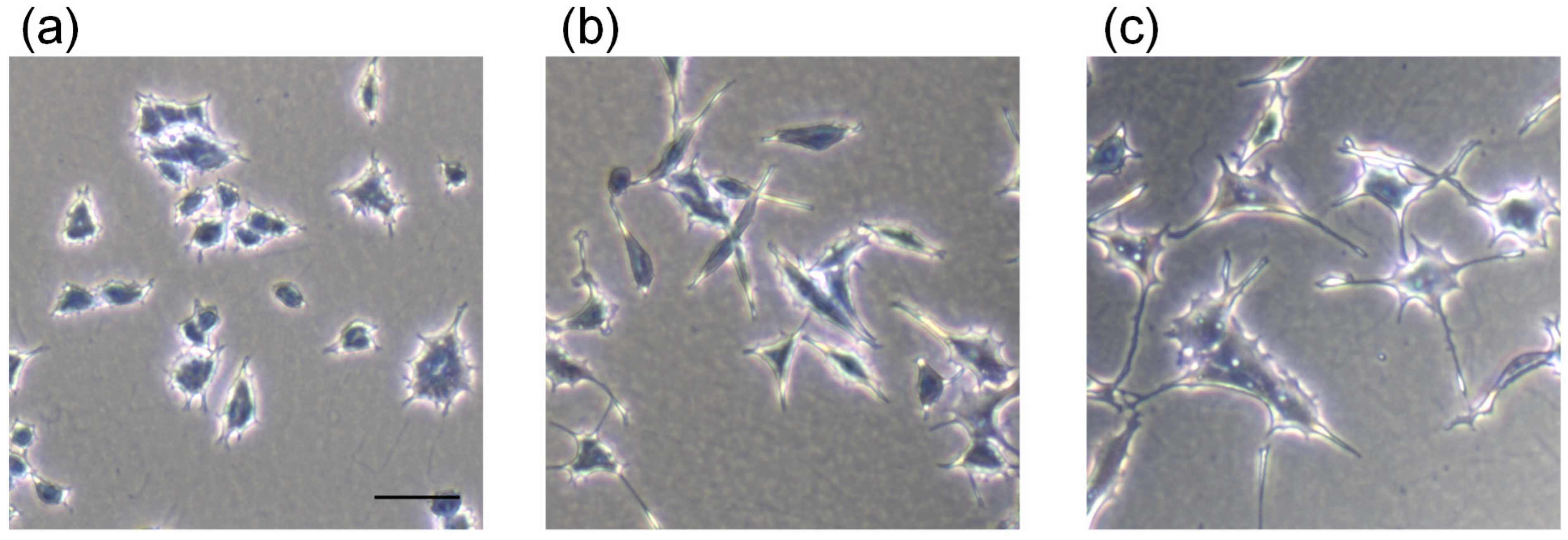 Nutrients 14 01422 g003