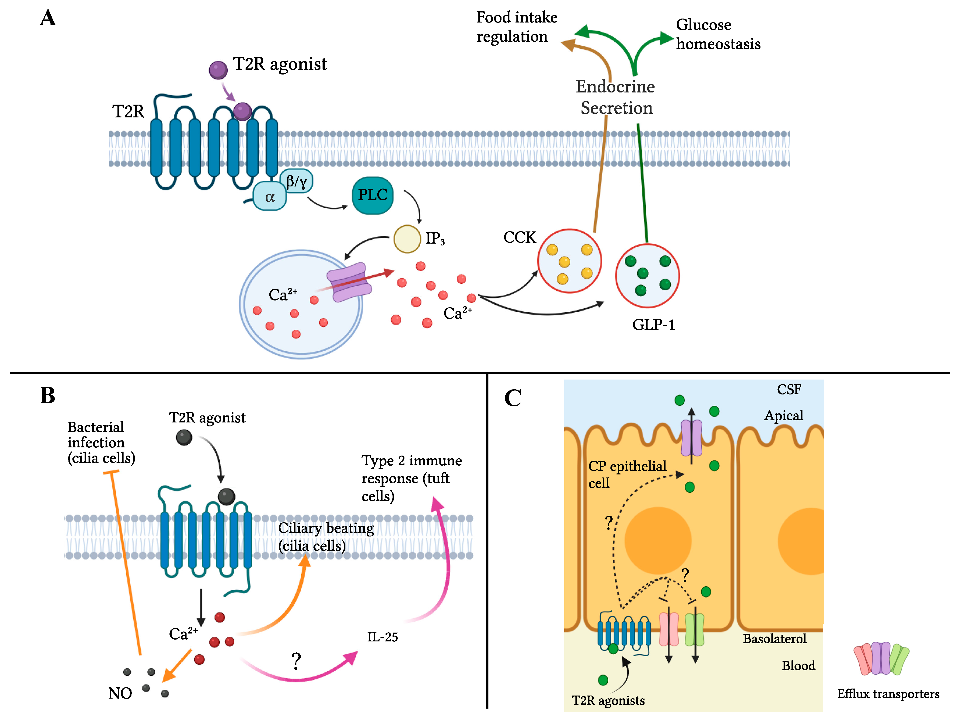 Nutrients 14 01434 g003