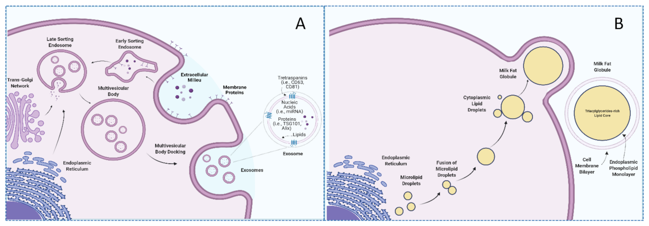 Nutrients 14 01442 g001
