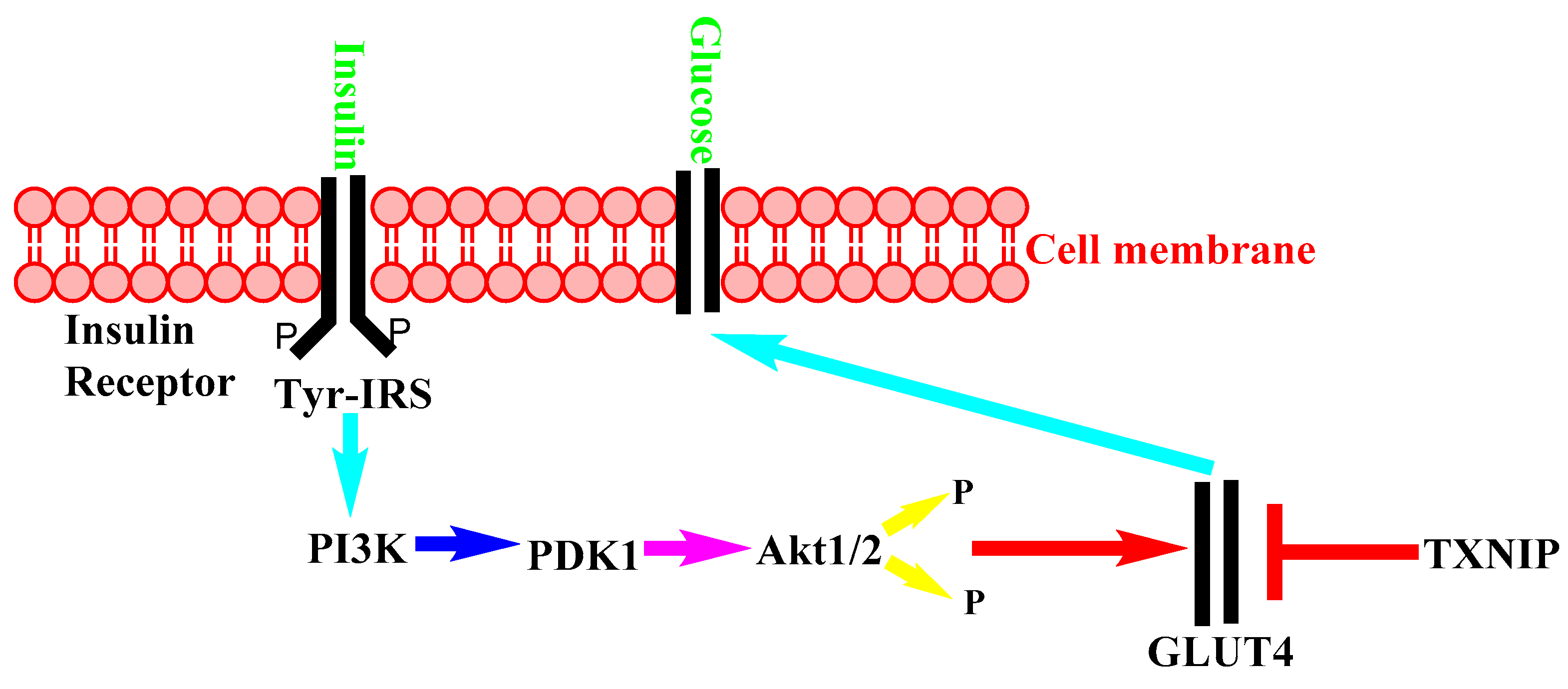Nutrients 14 01453 g002
