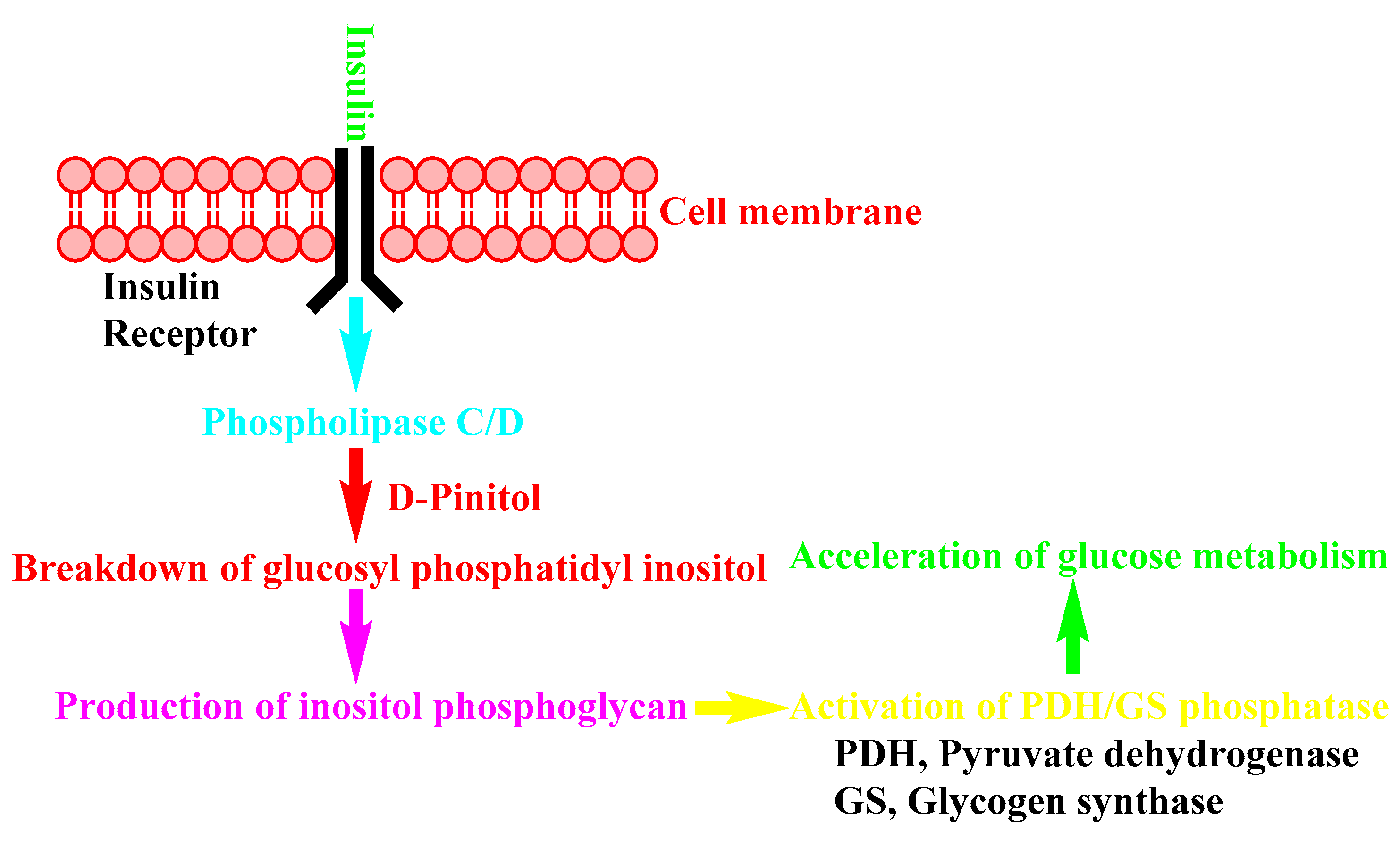 Nutrients 14 01453 g008