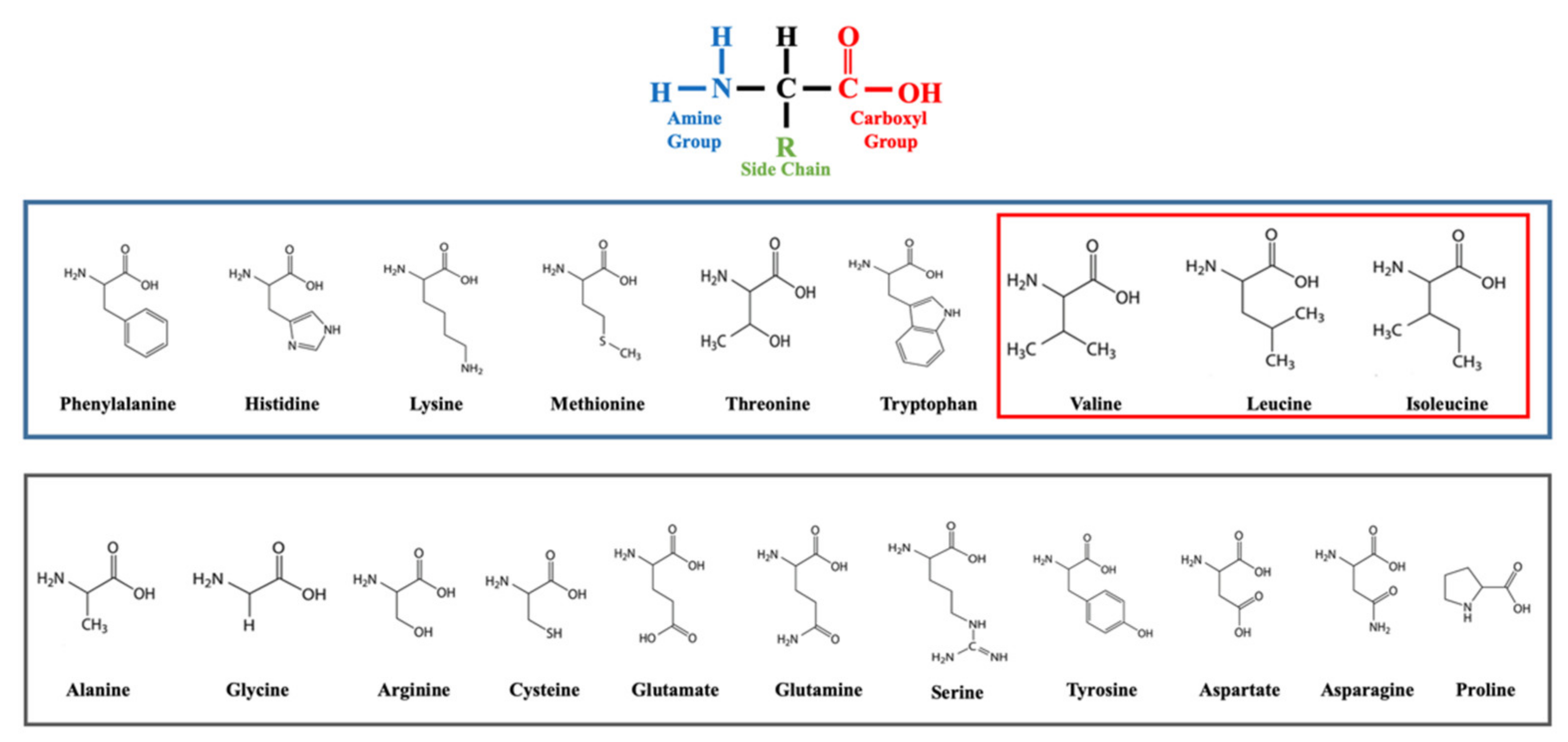Nutrients 14 01454 g001