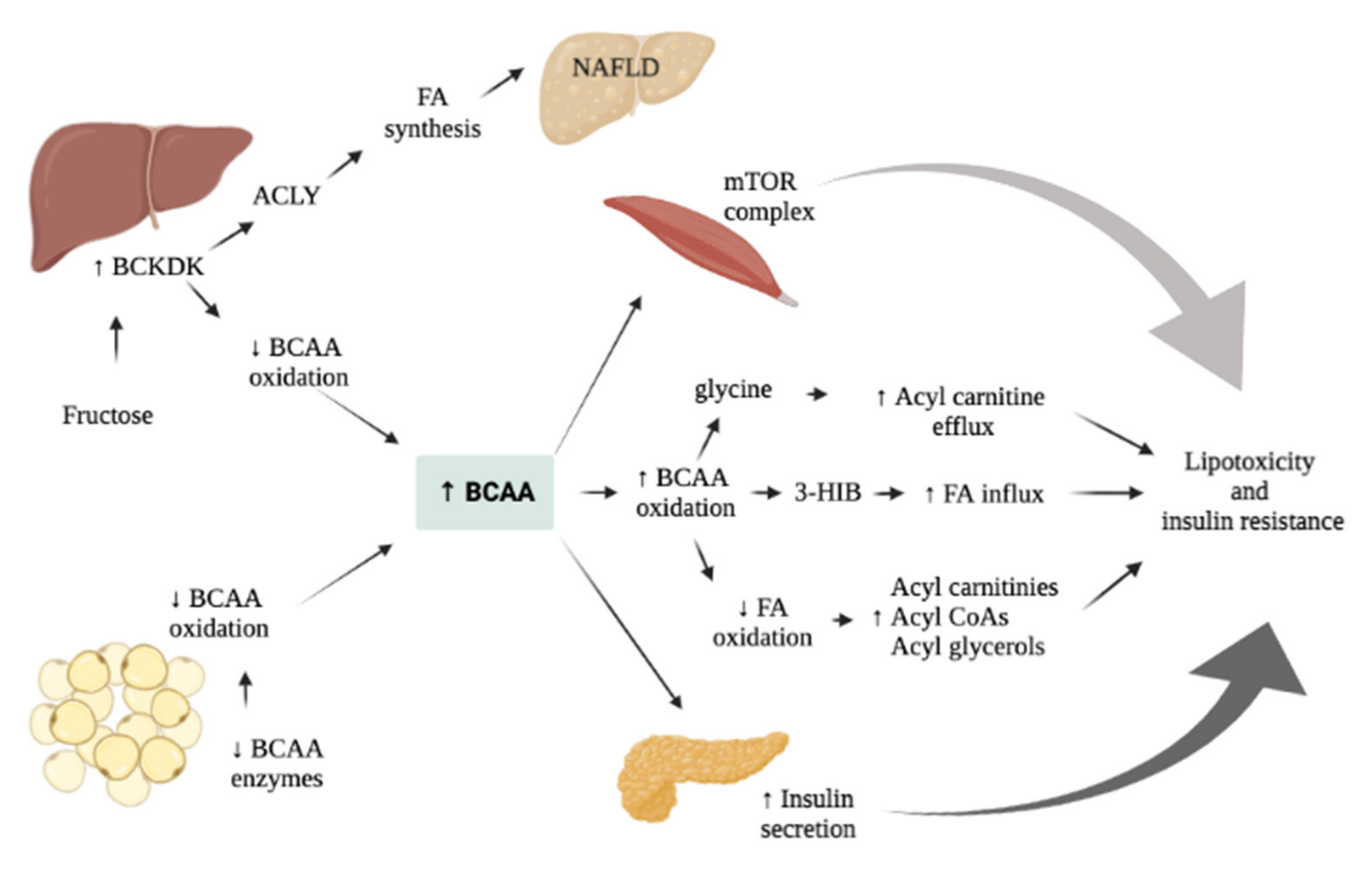 Nutrients 14 01454 g003