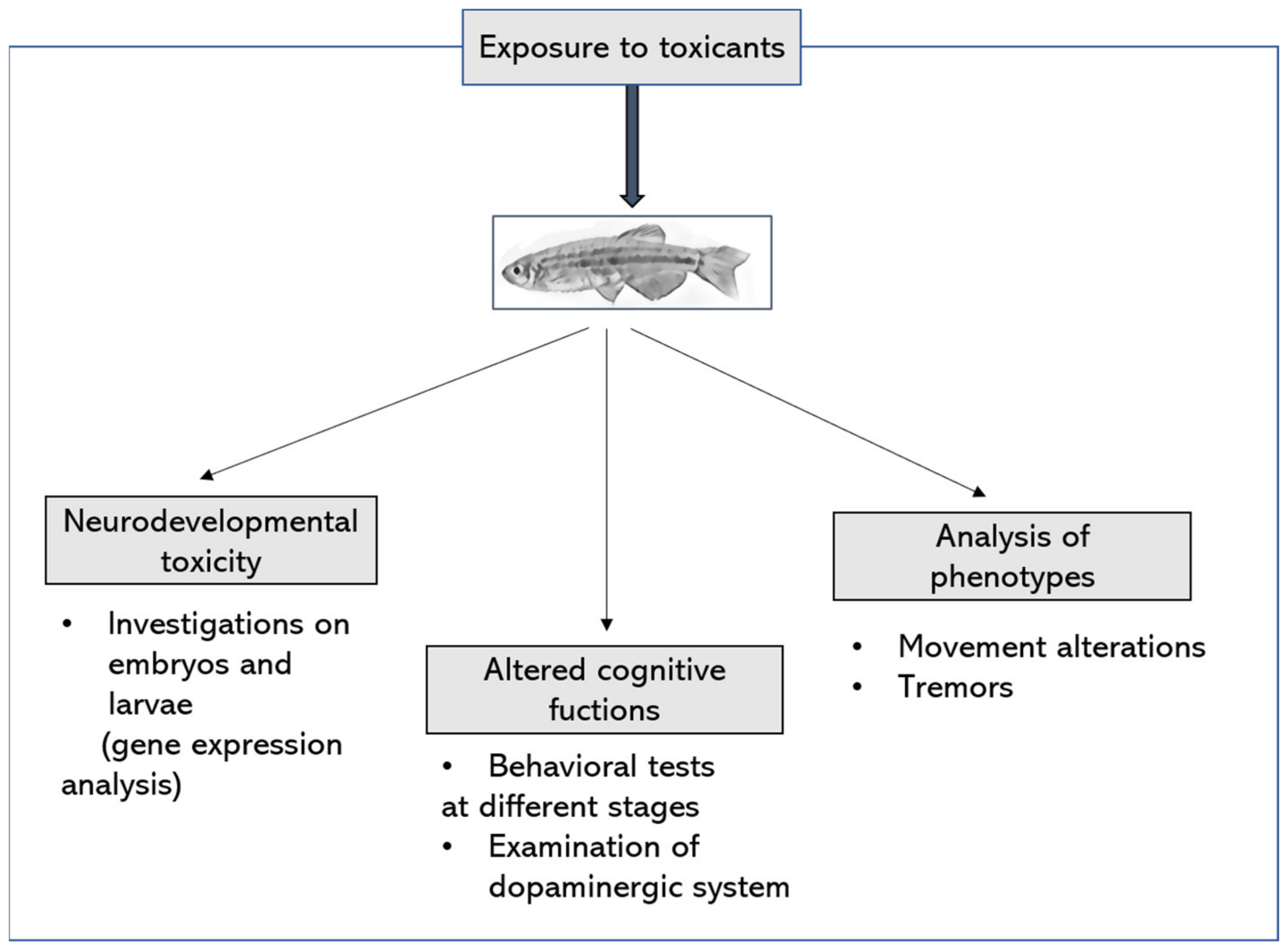 Nutrients 14 01467 g002